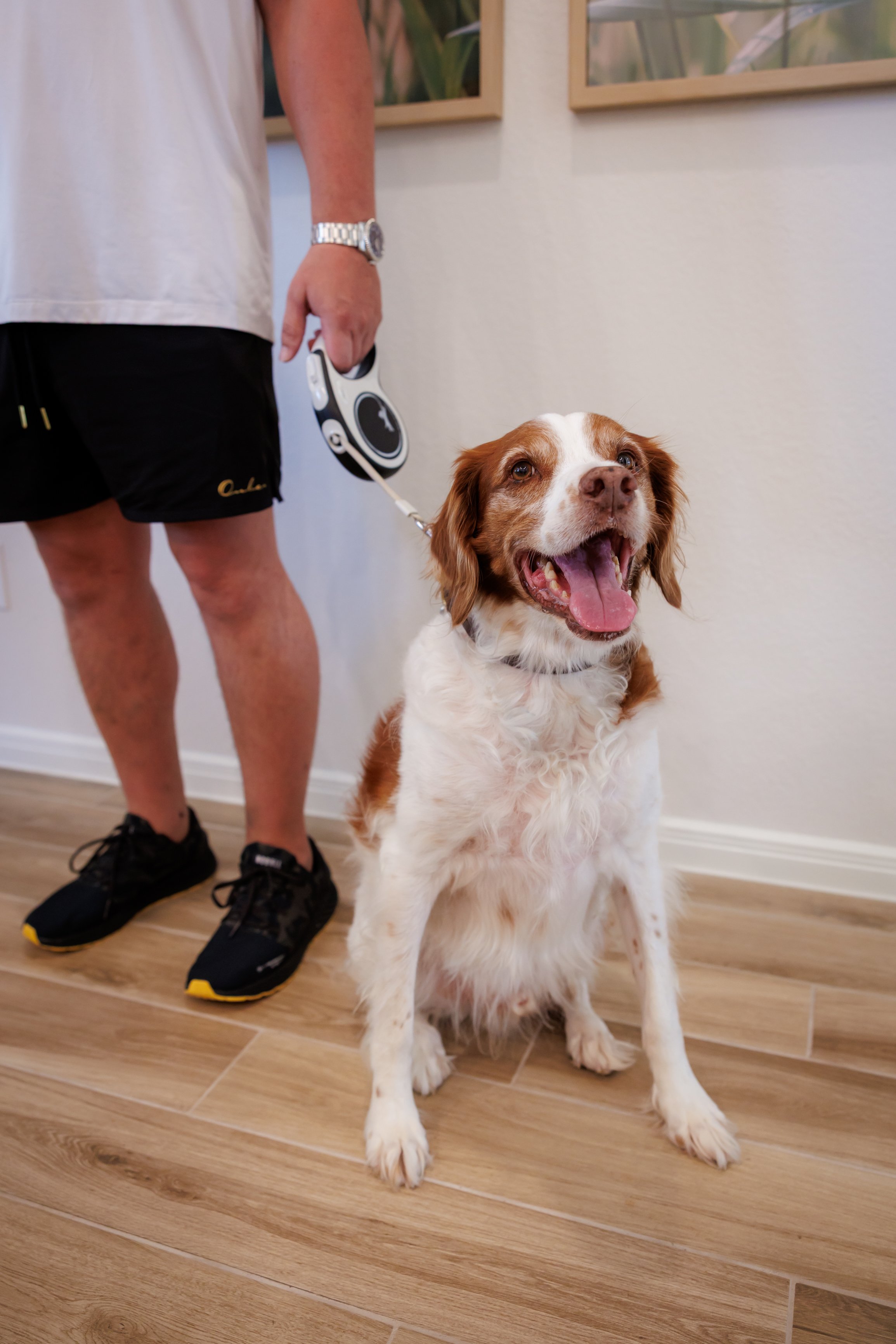 Steven Pedini Photography-10-4-2025 David Weekley Homes Blessing of the Pets-Web-120-AH2A6849.jpg