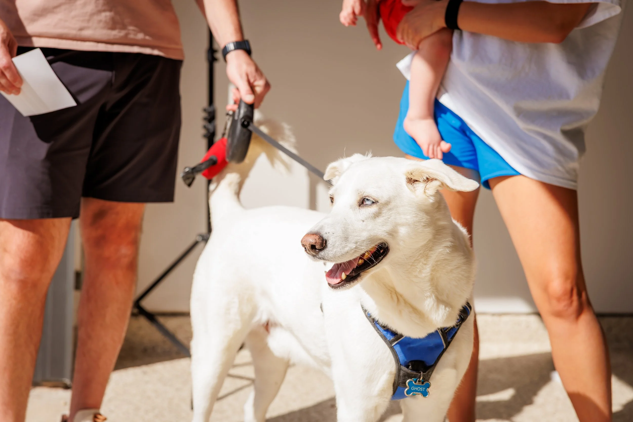 Steven Pedini Photography-10-4-2025 David Weekley Homes Blessing of the Pets-Web-156-AH2A6967.jpg