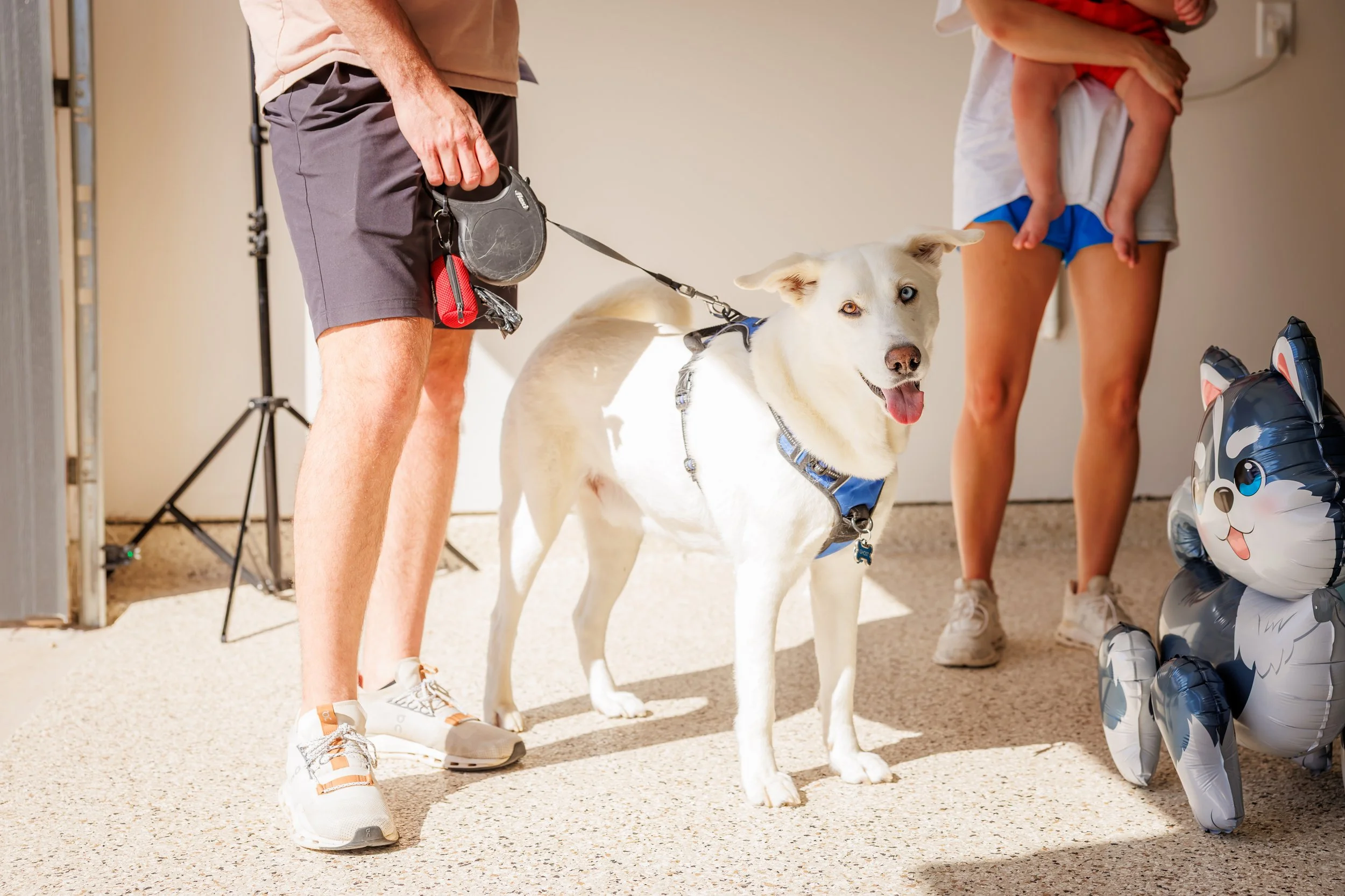 Steven Pedini Photography-10-4-2025 David Weekley Homes Blessing of the Pets-Web-162-AH2A6987.jpg