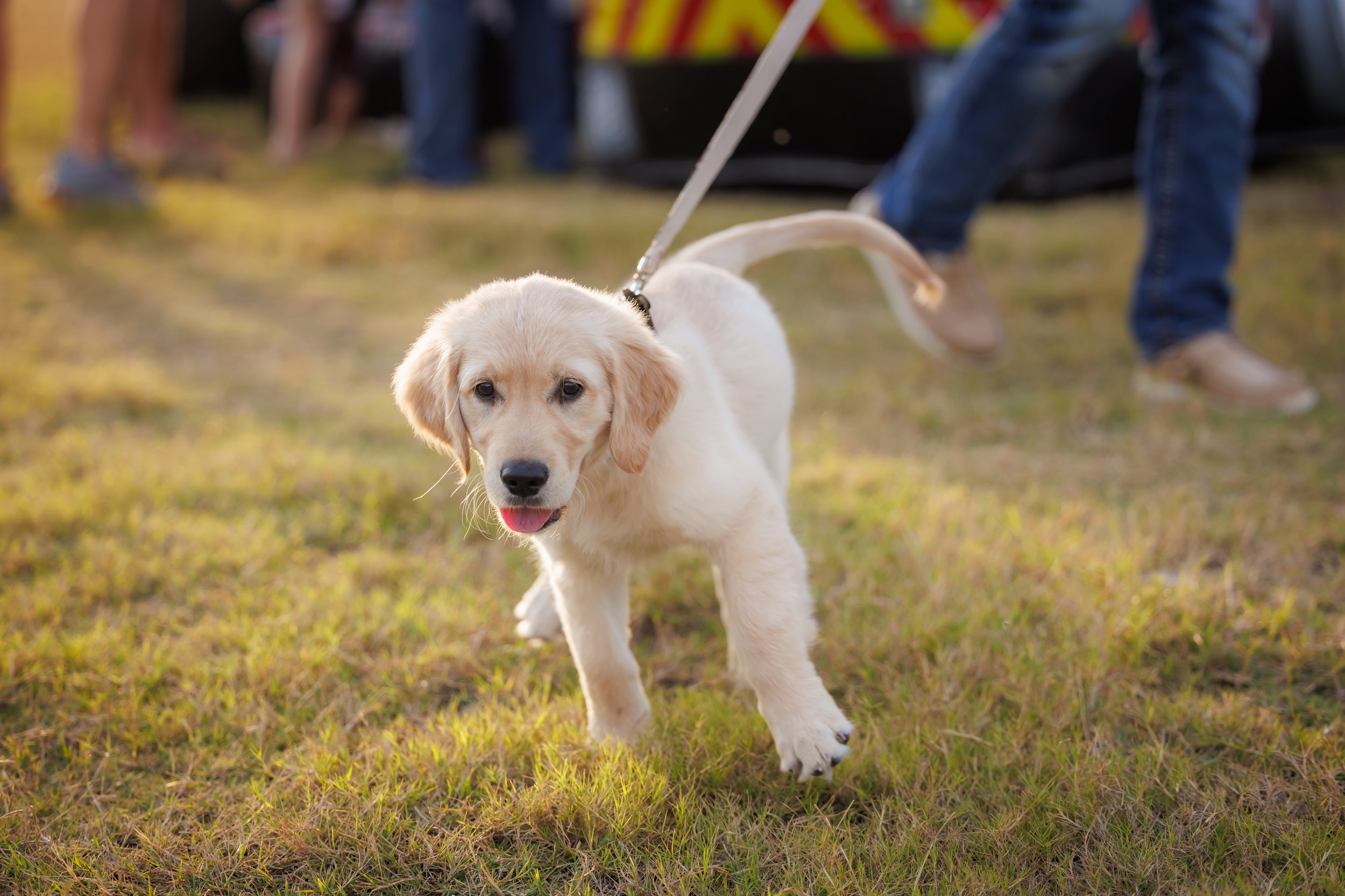 Steven Pedini Photography-10.7.25 - Grand Prairie National Night Out-Web-36-AH2A7075.jpg
