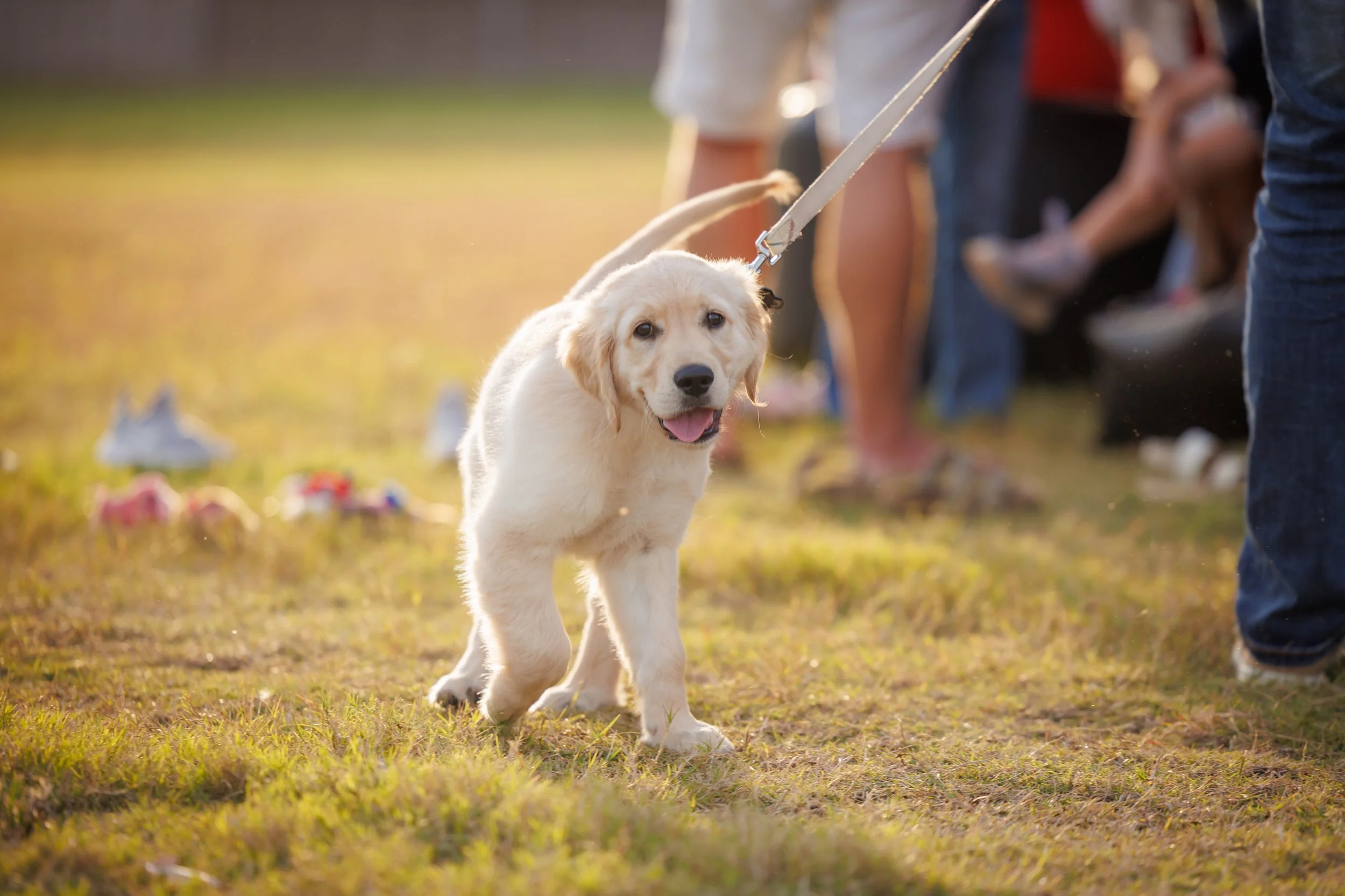 Steven Pedini Photography-10.7.25 - Grand Prairie National Night Out-Web-38-AH2A7085.jpg