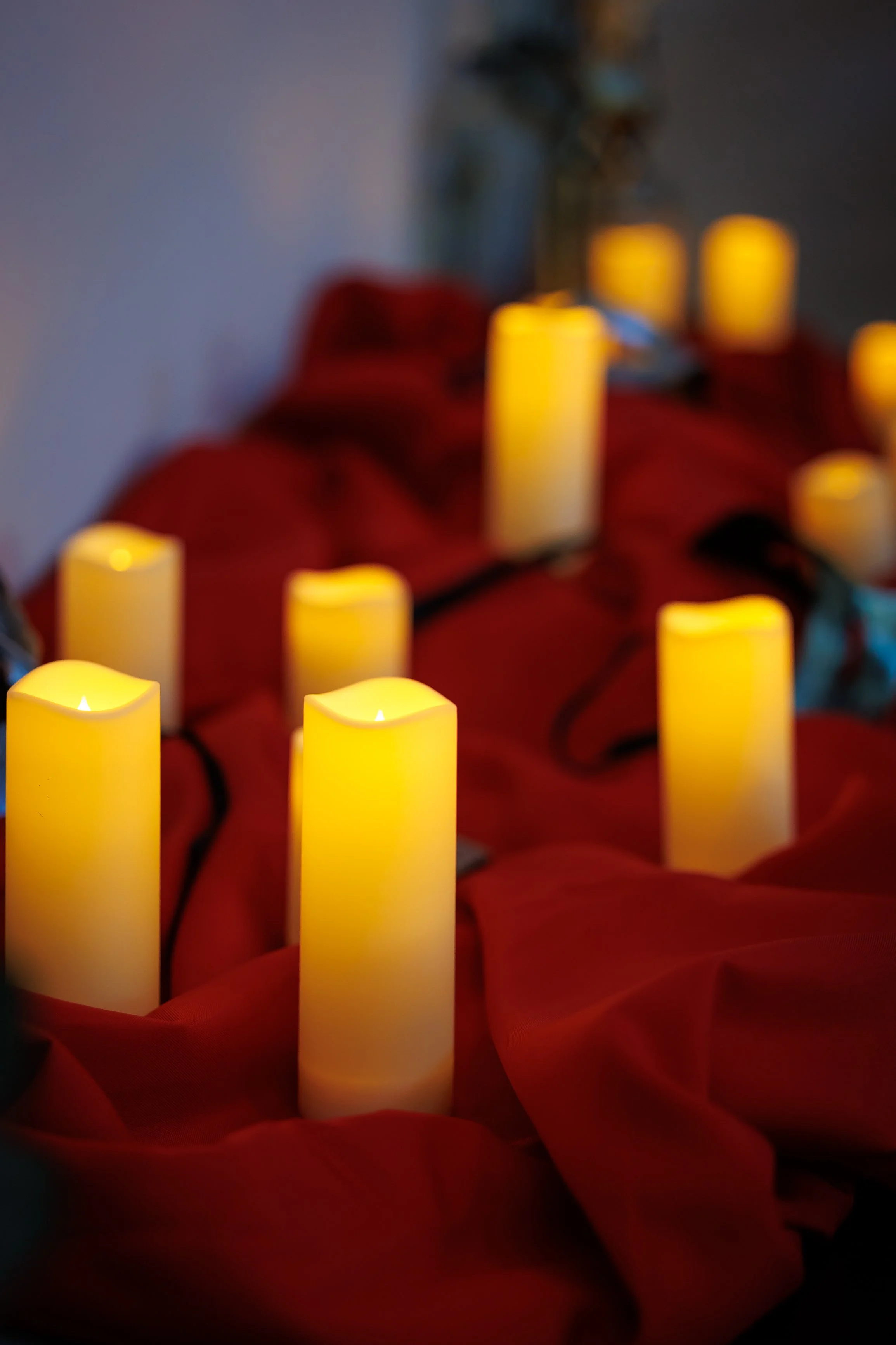 Steven Pedini Photography-10.10.25 Jubilee Murder Mystery Gala-Web-6-AH2A7431.jpg