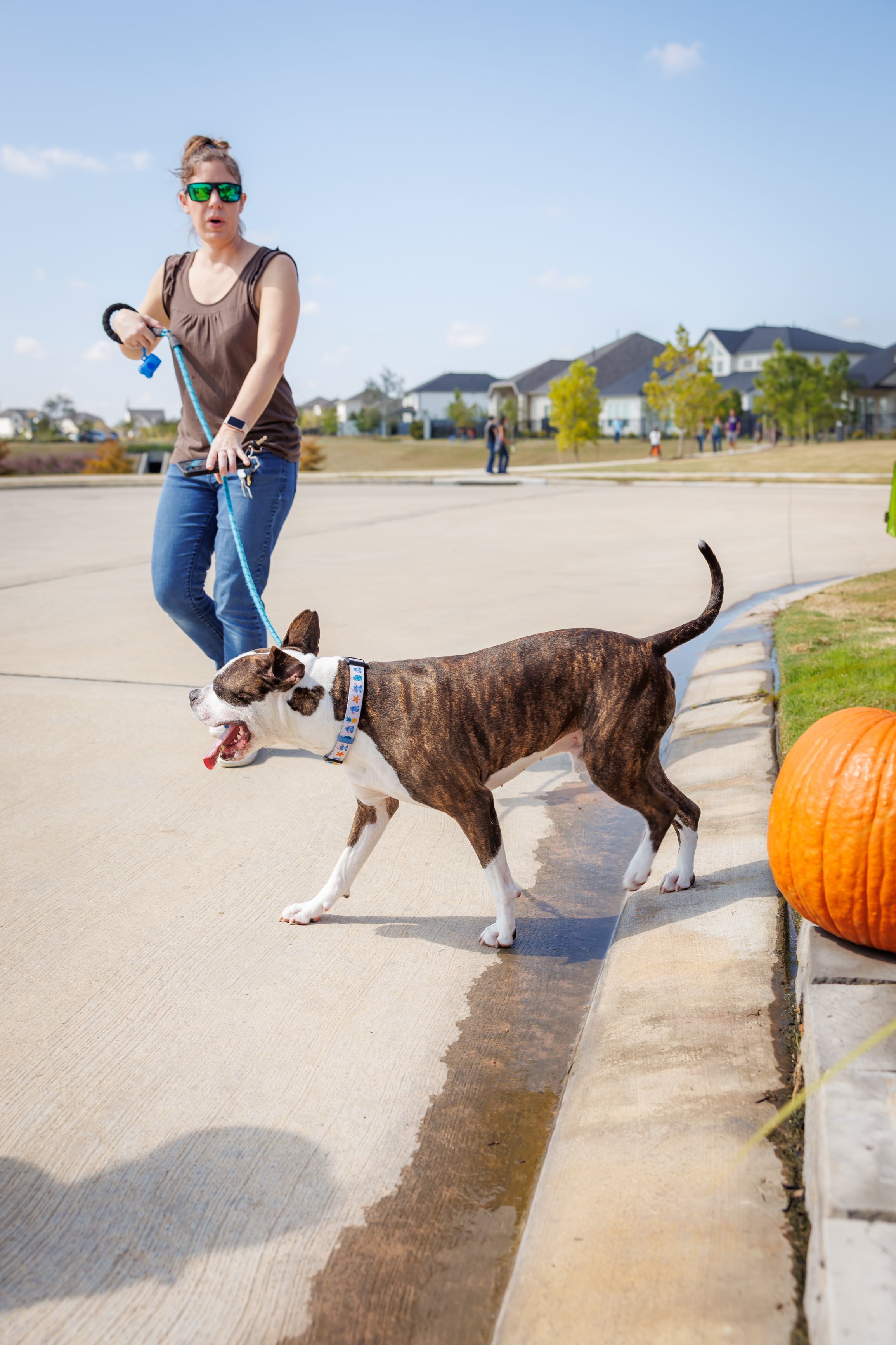 Steven Pedini Photography-10.26.25 - Jubilee Happy Hunts-Web-41-AH2A9248.jpg