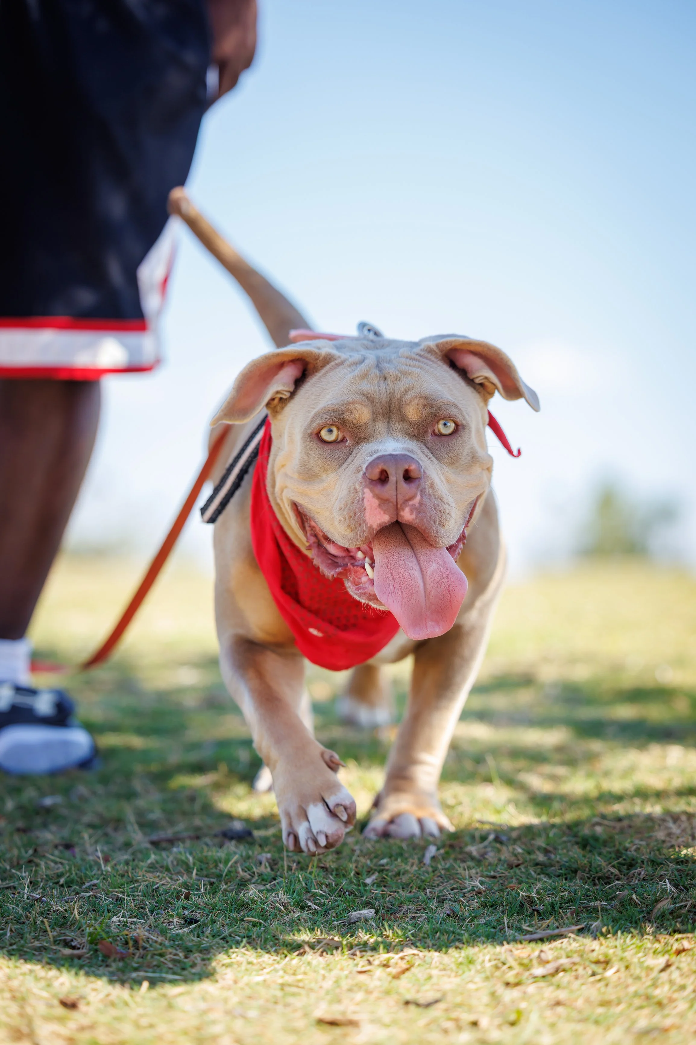 Steven Pedini Photography-10.26.25 - Jubilee Happy Hunts-Web-199-AH2A9613.jpg