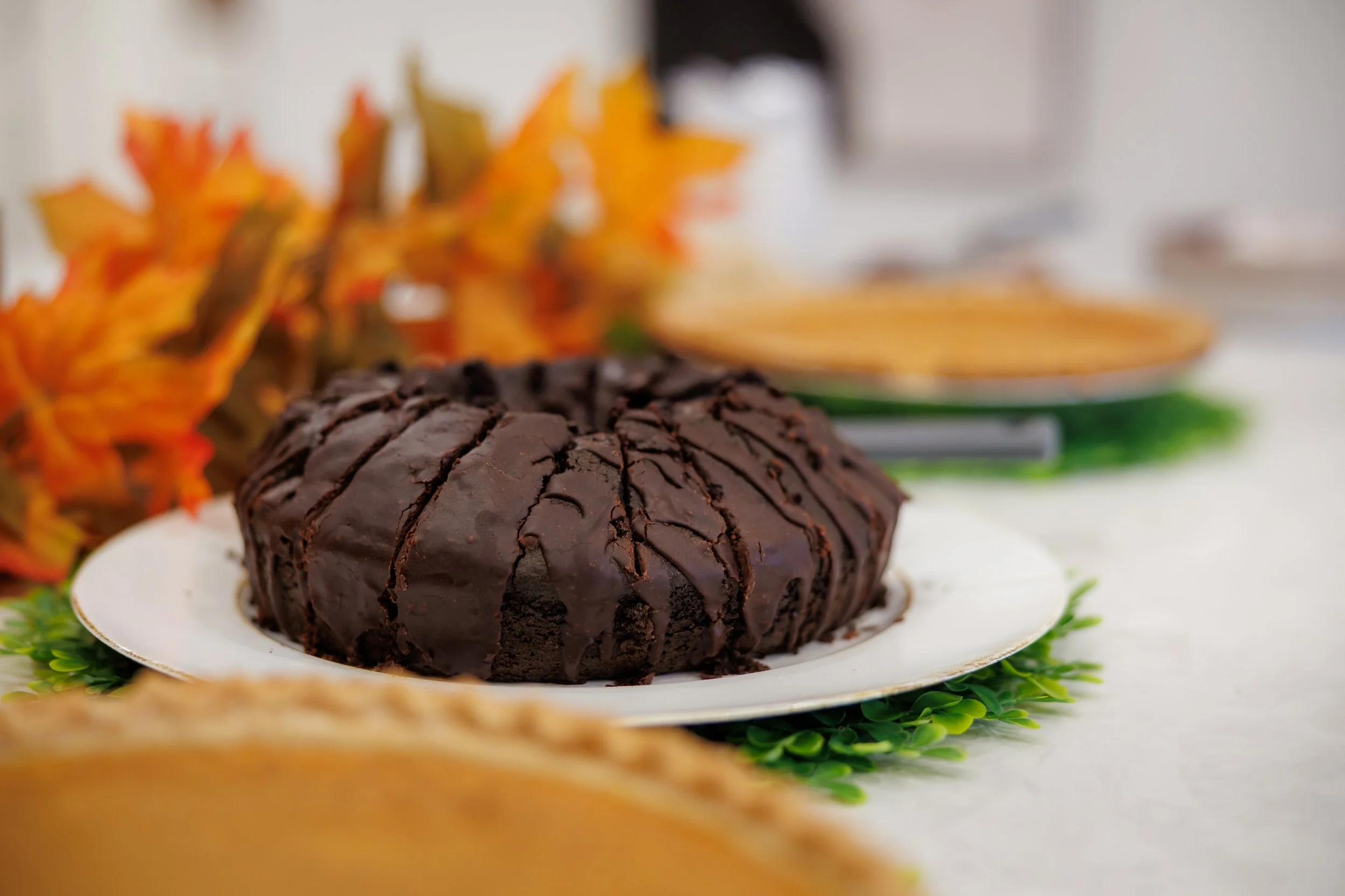 Steven Pedini Photography-11.1.2025 - Grand Prairie Friendsgiving-Web-19-AH2A0727.jpg
