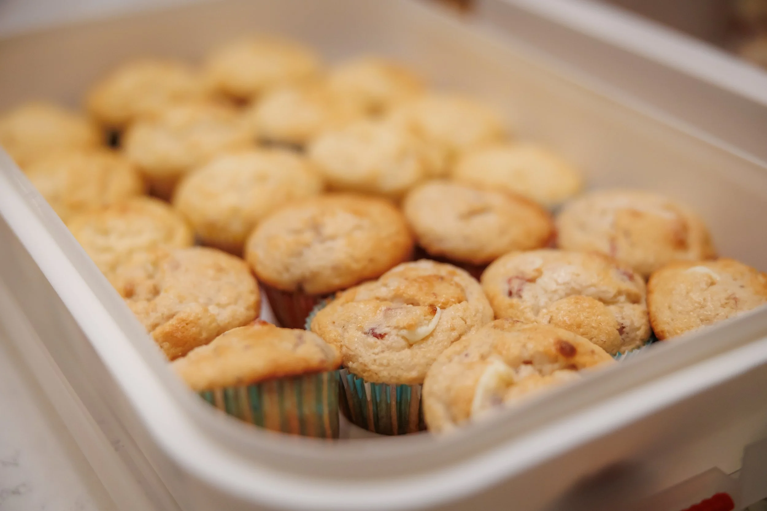 Steven Pedini Photography-11.21.25 Jubilee Friendsgiving-Web-22-AH2A3975.jpg