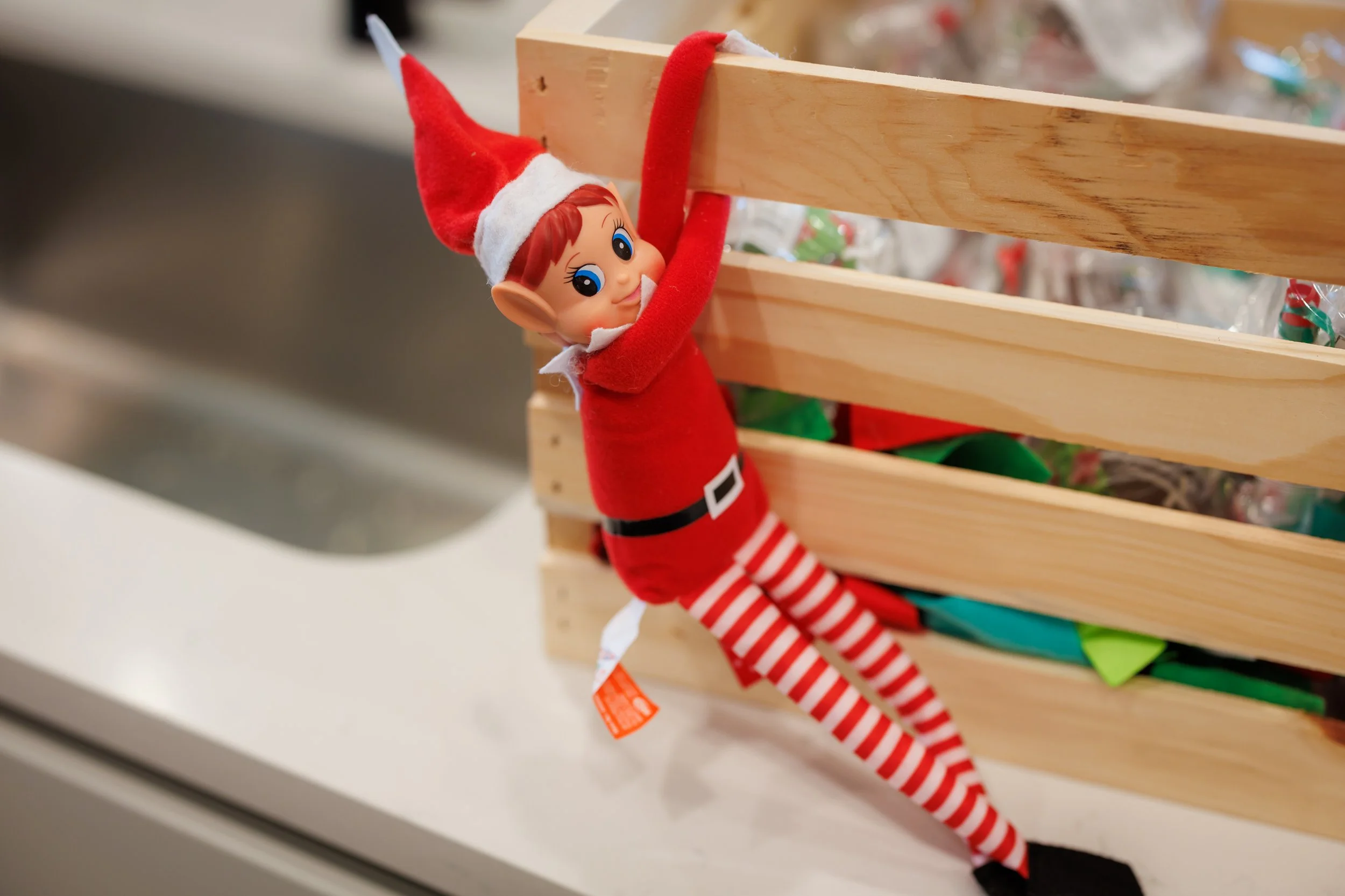 Steven Pedini Photography-12.14.25 David Weekley Homes Photos with Santa at Beacon Point-Web-69-8Y2A6815.jpg
