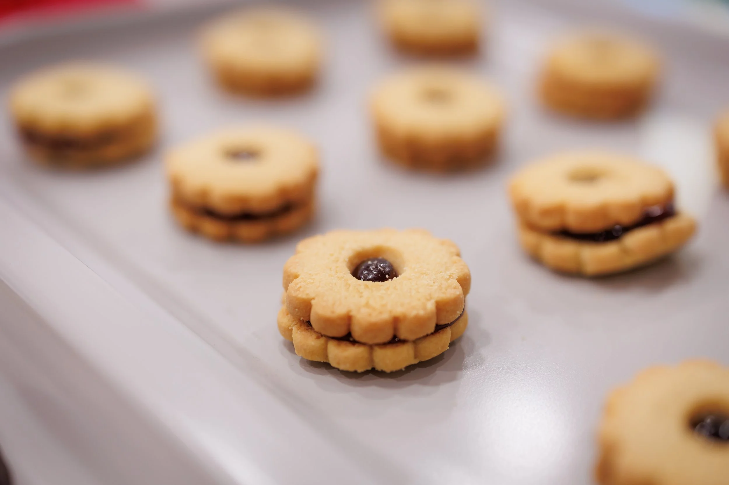 Steven Pedini Photography-12.11.25 Jubilee Cookie Exchange-Web-2-AH2A5769.jpg