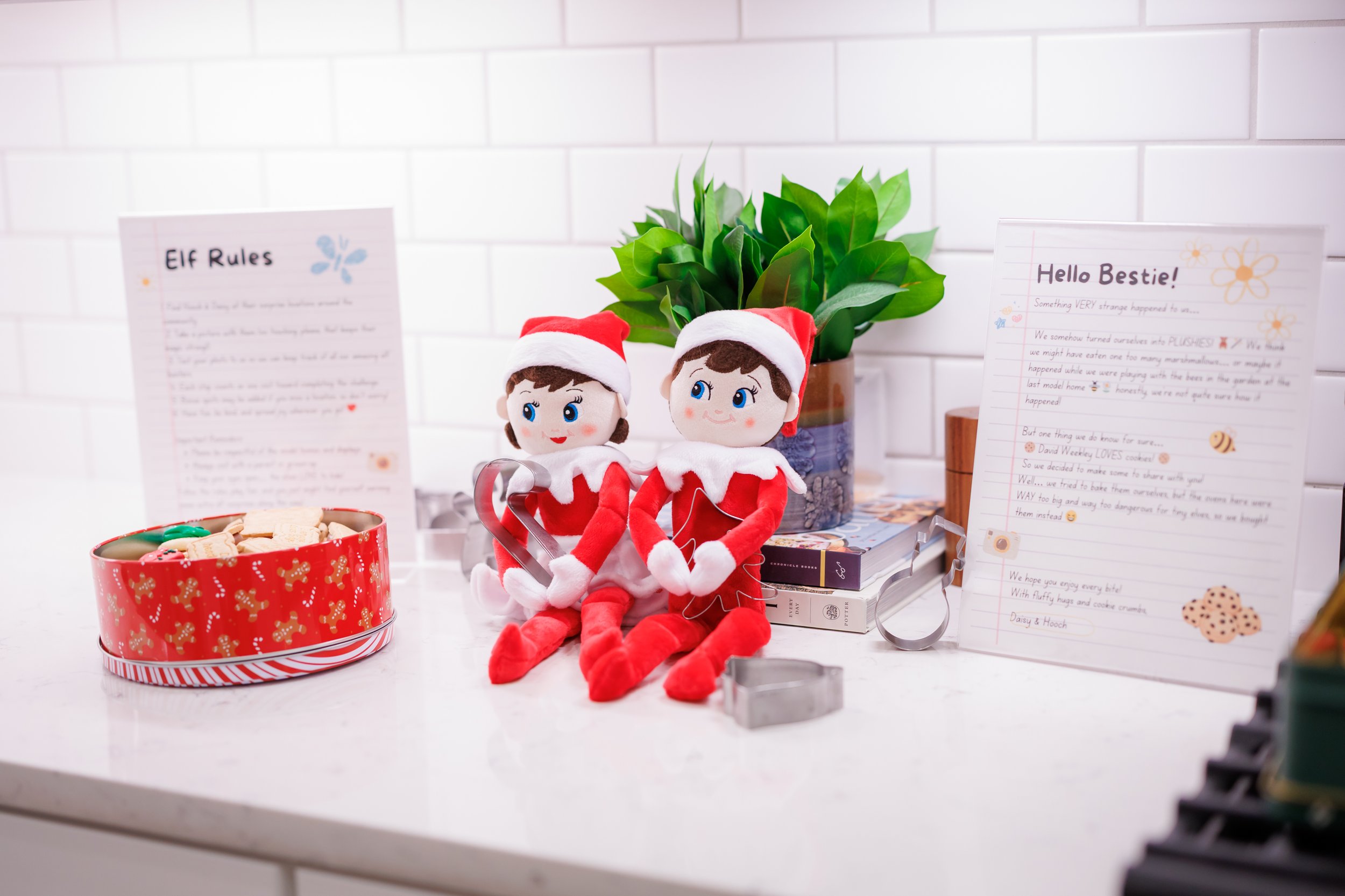 Steven Pedini Photography-12.11.25 Jubilee Cookie Exchange-Web-10-AH2A5778.jpg