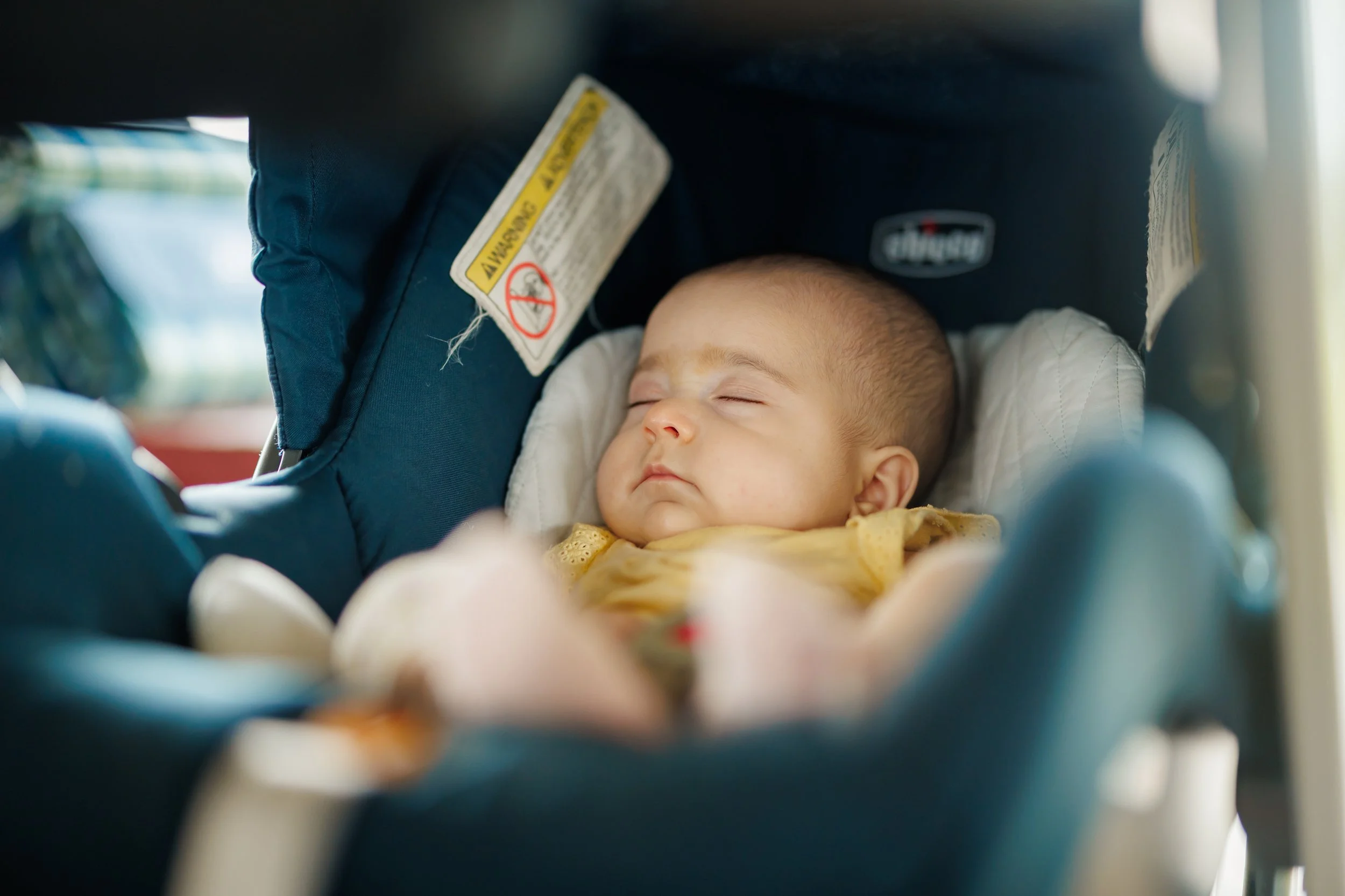 4.18.2026-David-Weekley-Homes-Family-Picnic-Oil-Ranch-Web-Steven-Pedini-Photography-5-8Y2A1639.jpg