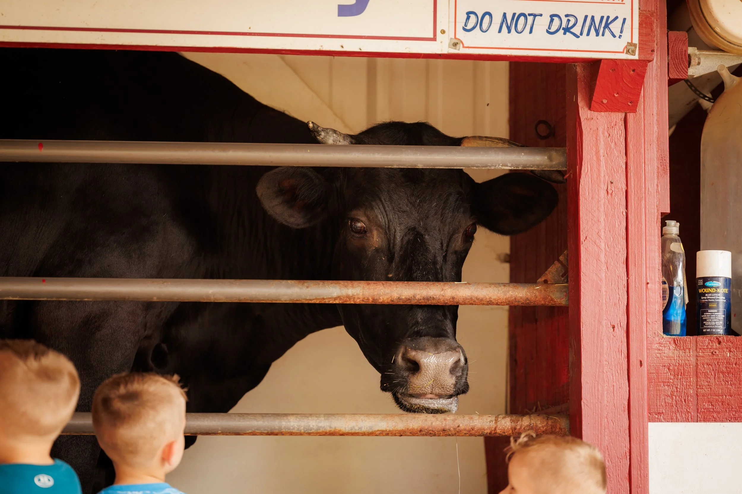 4.18.2026-David-Weekley-Homes-Family-Picnic-Oil-Ranch-Web-Steven-Pedini-Photography-202-AH2A5925.jpg