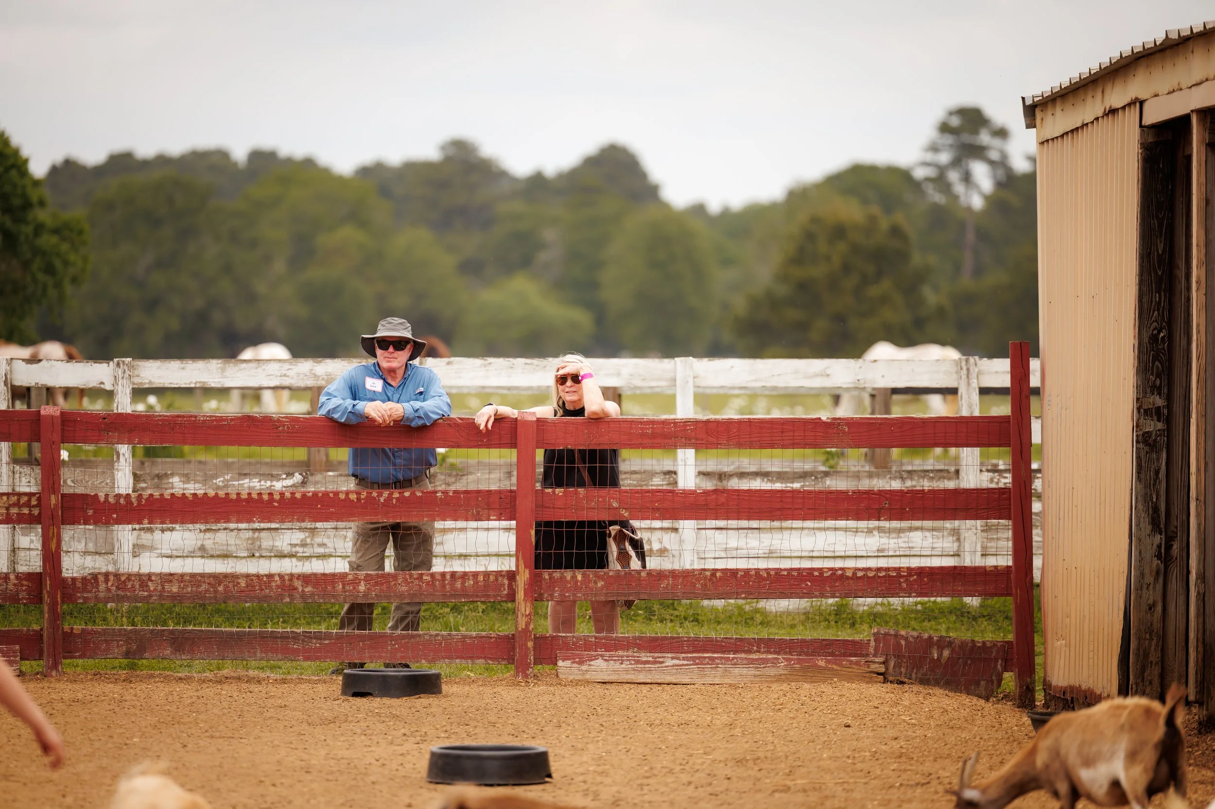 4.18.2026-David-Weekley-Homes-Family-Picnic-Oil-Ranch-Web-Steven-Pedini-Photography-214-AH2A5948.jpg