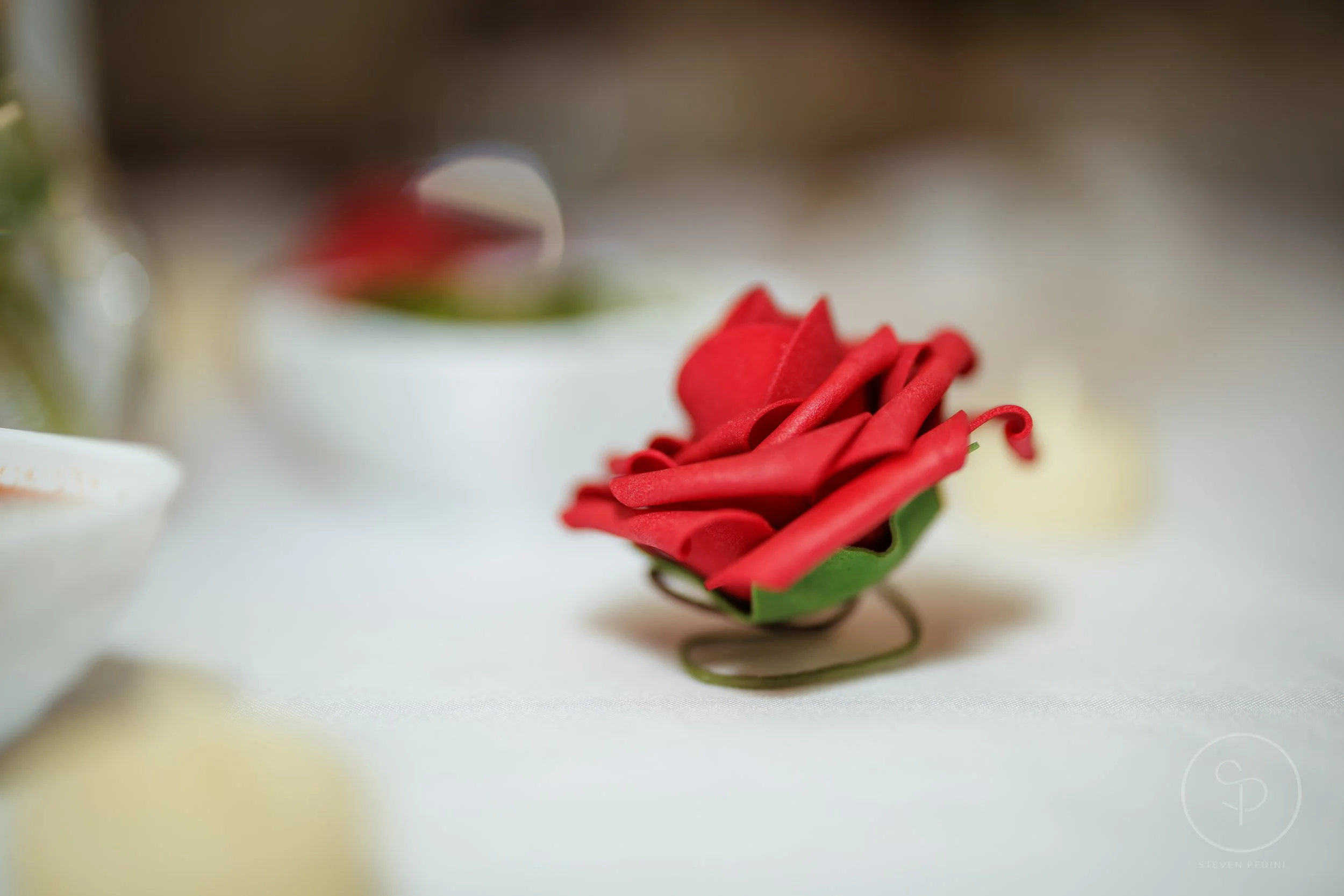 5.1.26-St-Josephs-Supper-Catholic-Church-Houston-TX-Web-Steven-Pedini-Photography-8-AH2A8399.jpg