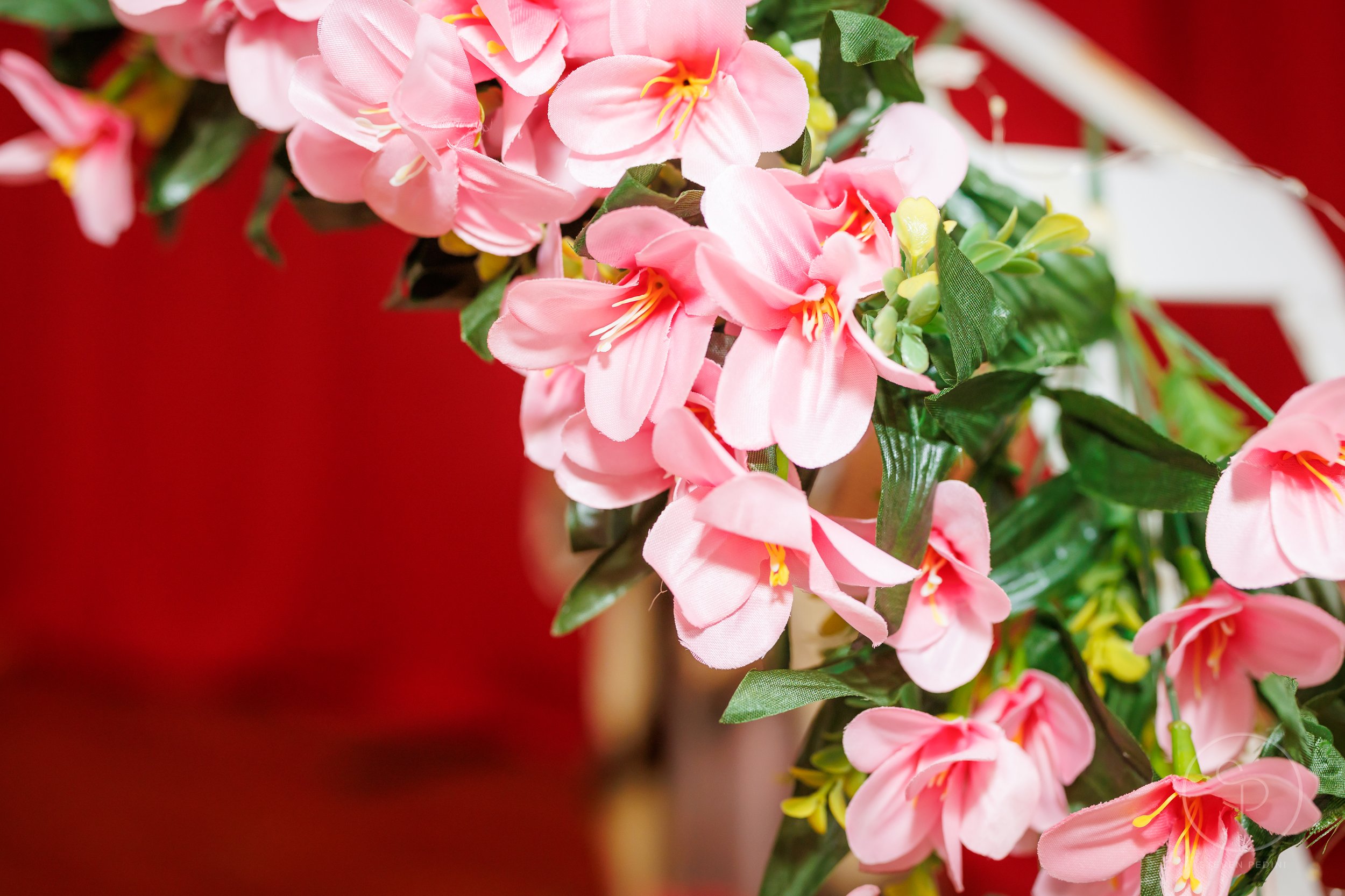 5.1.26-St-Josephs-Supper-Catholic-Church-Houston-TX-Web-Steven-Pedini-Photography-25-AH2A8430.jpg