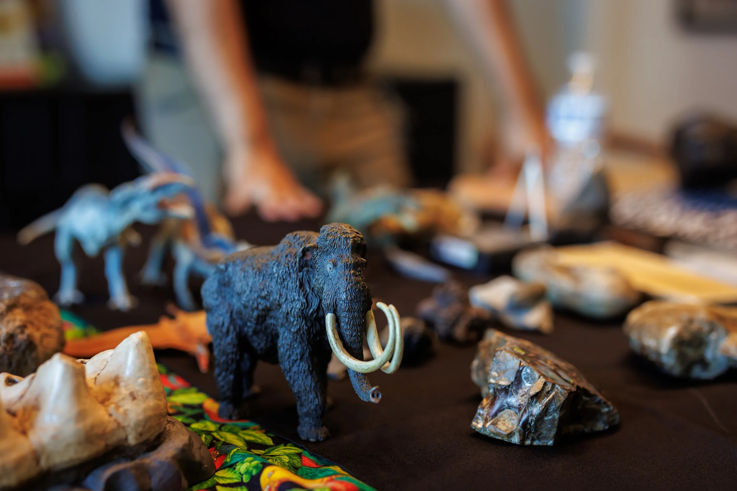 5.2.2026-Jubilee-Wild-Beyond-Web-Steven-Pedini-Photography-30-AH2A9018.jpg