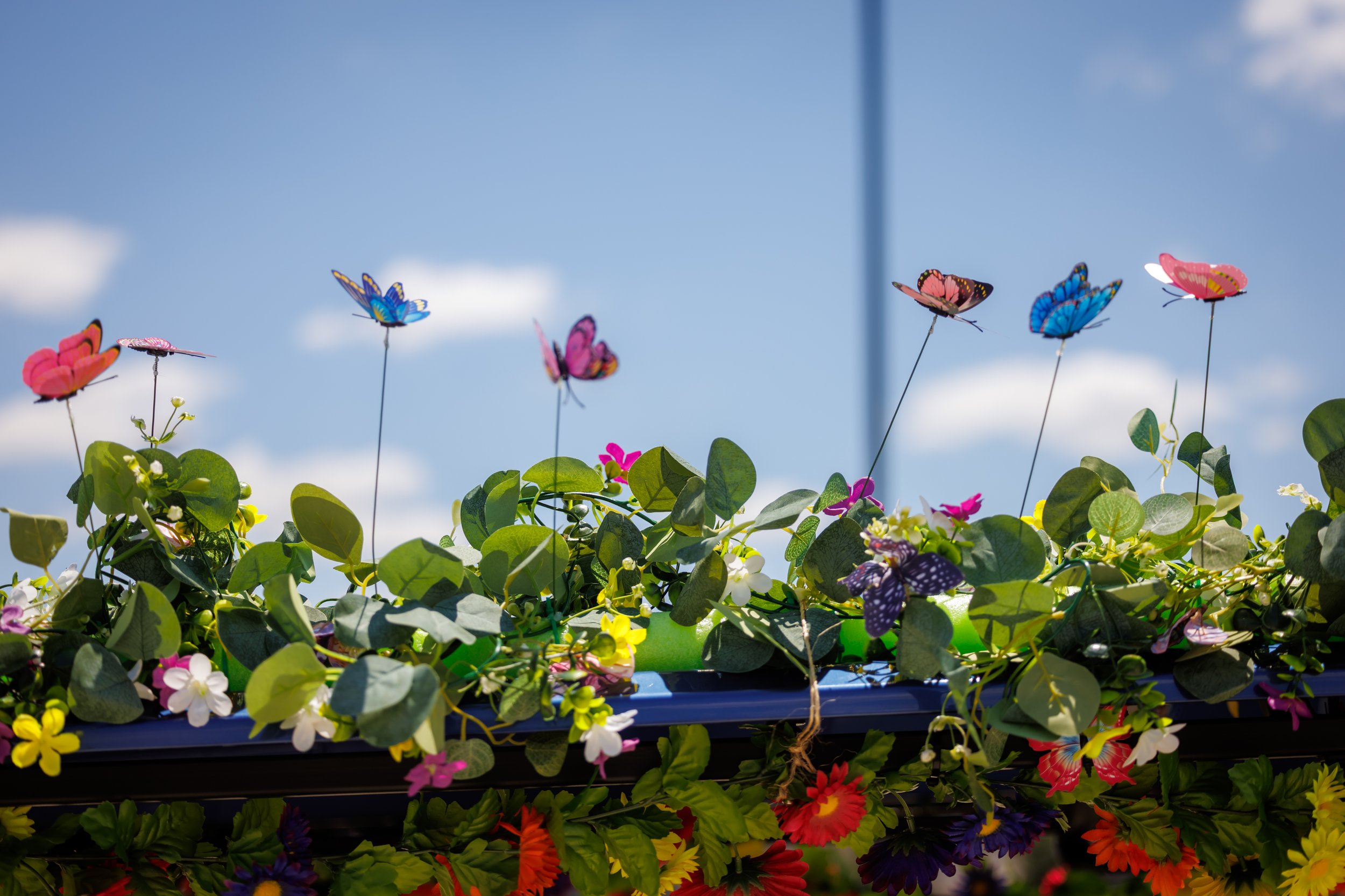 5.2.2026-Jubilee-Wild-Beyond-Web-Steven-Pedini-Photography-200-AH2A9506.jpg