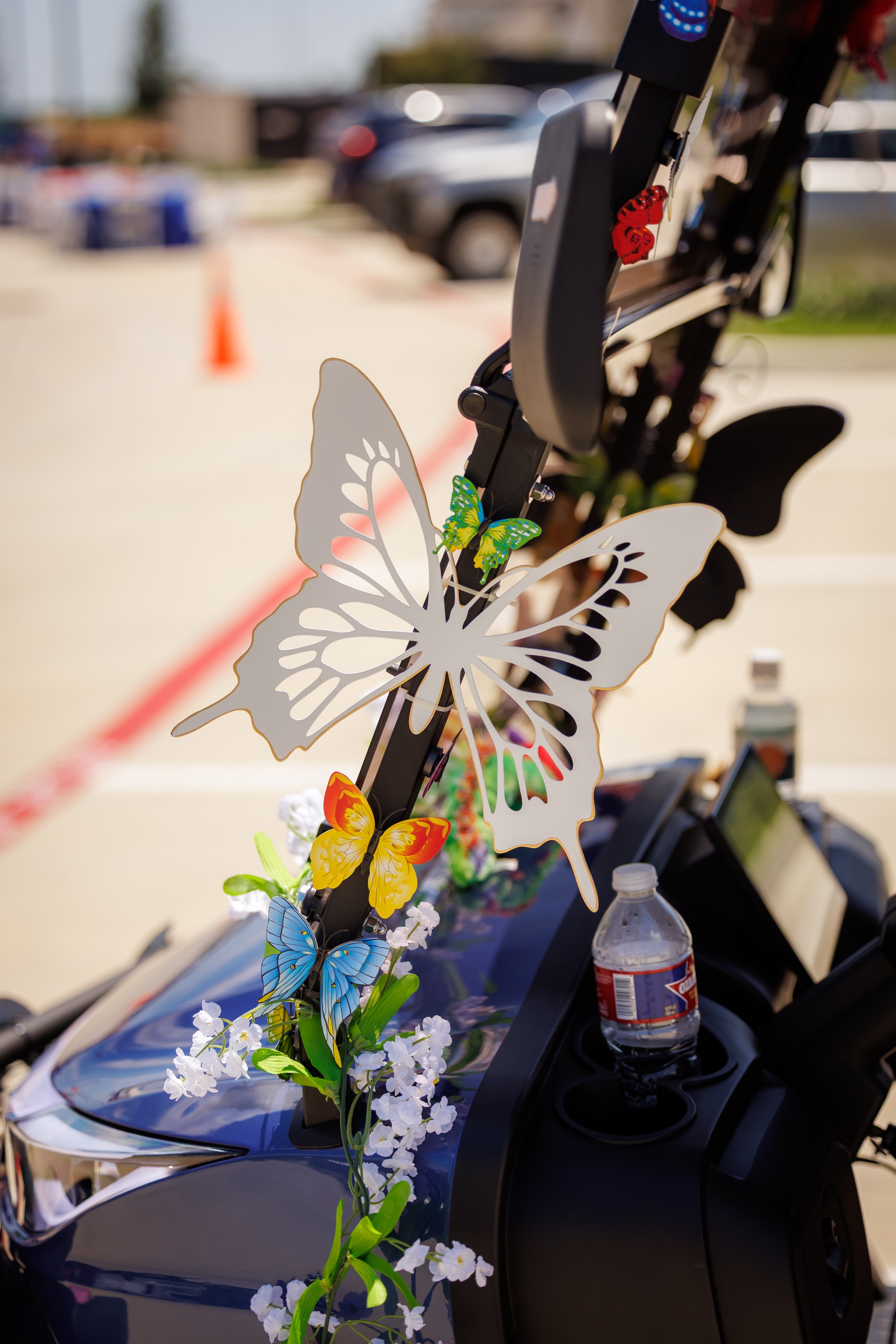 5.2.2026-Jubilee-Wild-Beyond-Web-Steven-Pedini-Photography-201-AH2A9509.jpg