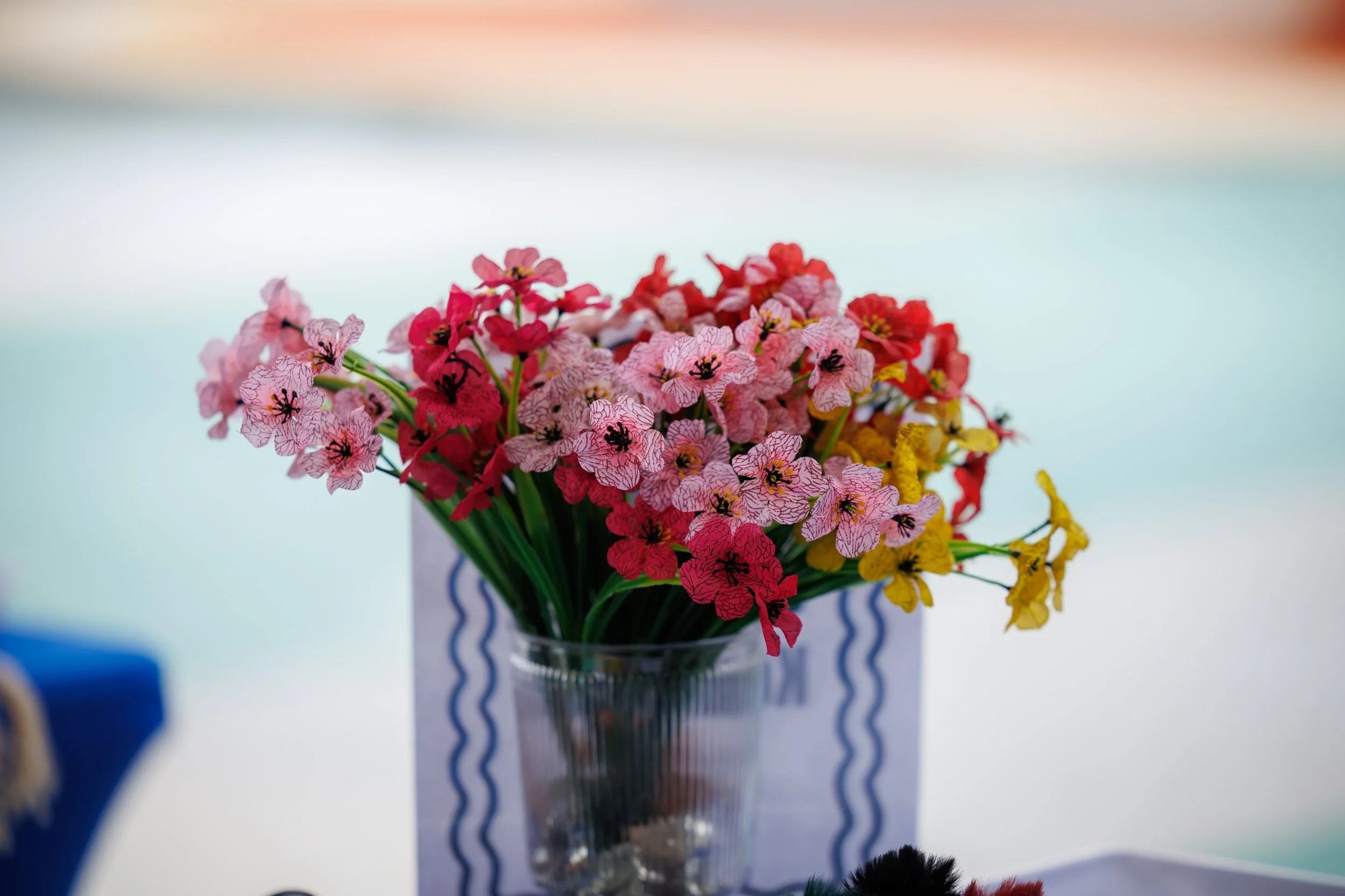 8.9.2026-Jubilee-Back-To-School-Bash-Web-Steven-Pedini-Photography-4-AH2A5533.jpg