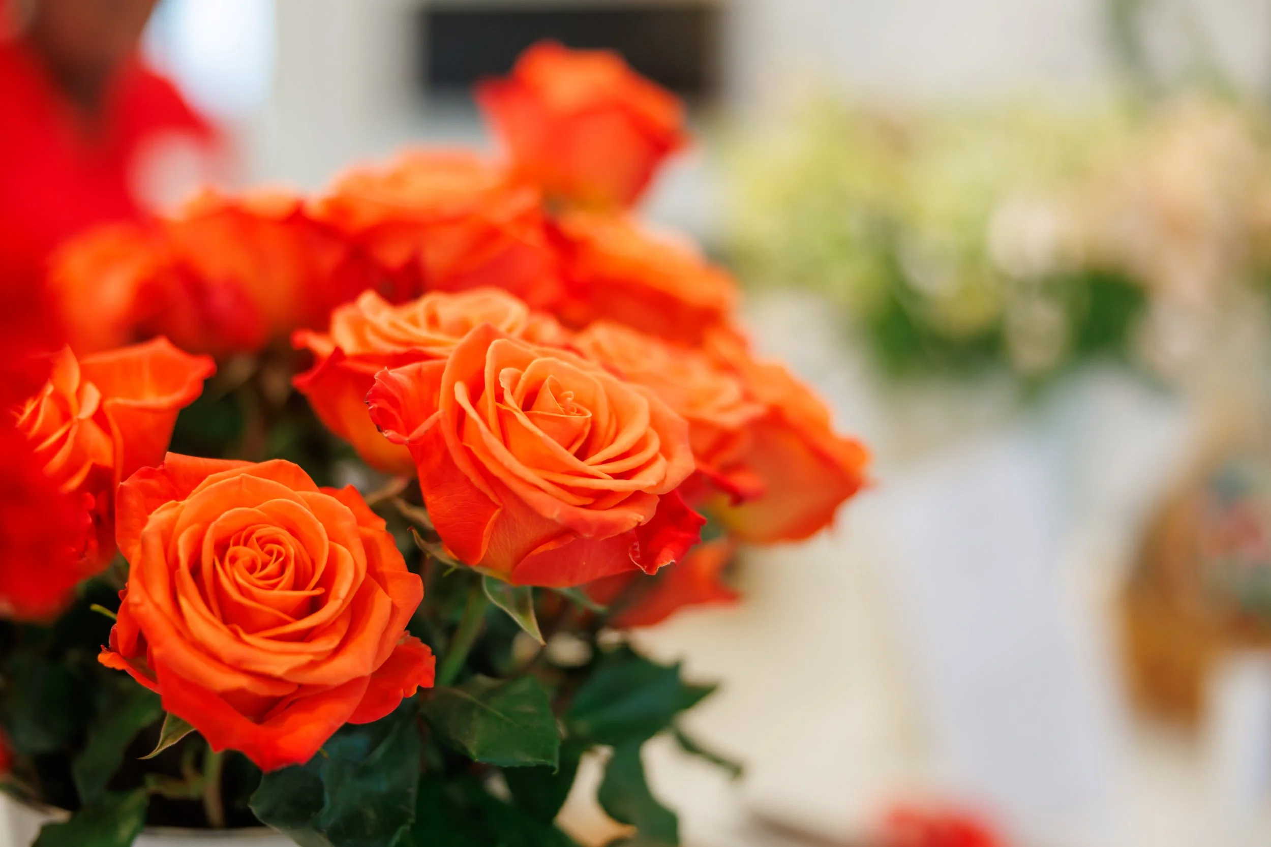 8.22.2026-Jubilee-Joyful-Reset-Web-Steven-Pedini-Photography-24-AH2A0239.jpg