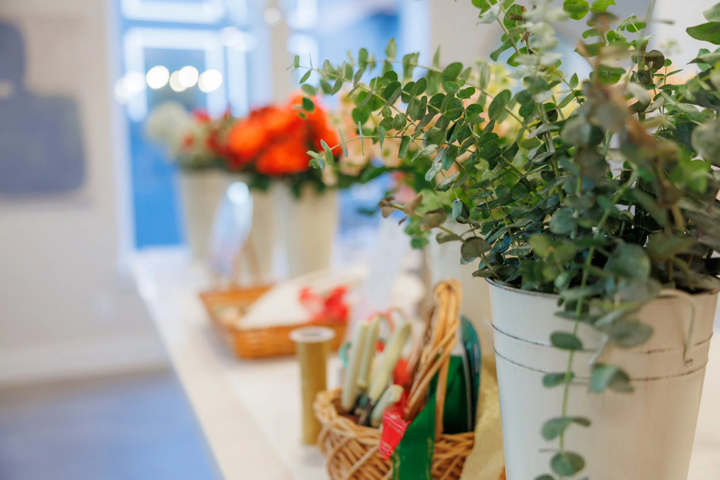 8.22.2026-Jubilee-Joyful-Reset-Web-Steven-Pedini-Photography-28-AH2A0244.jpg