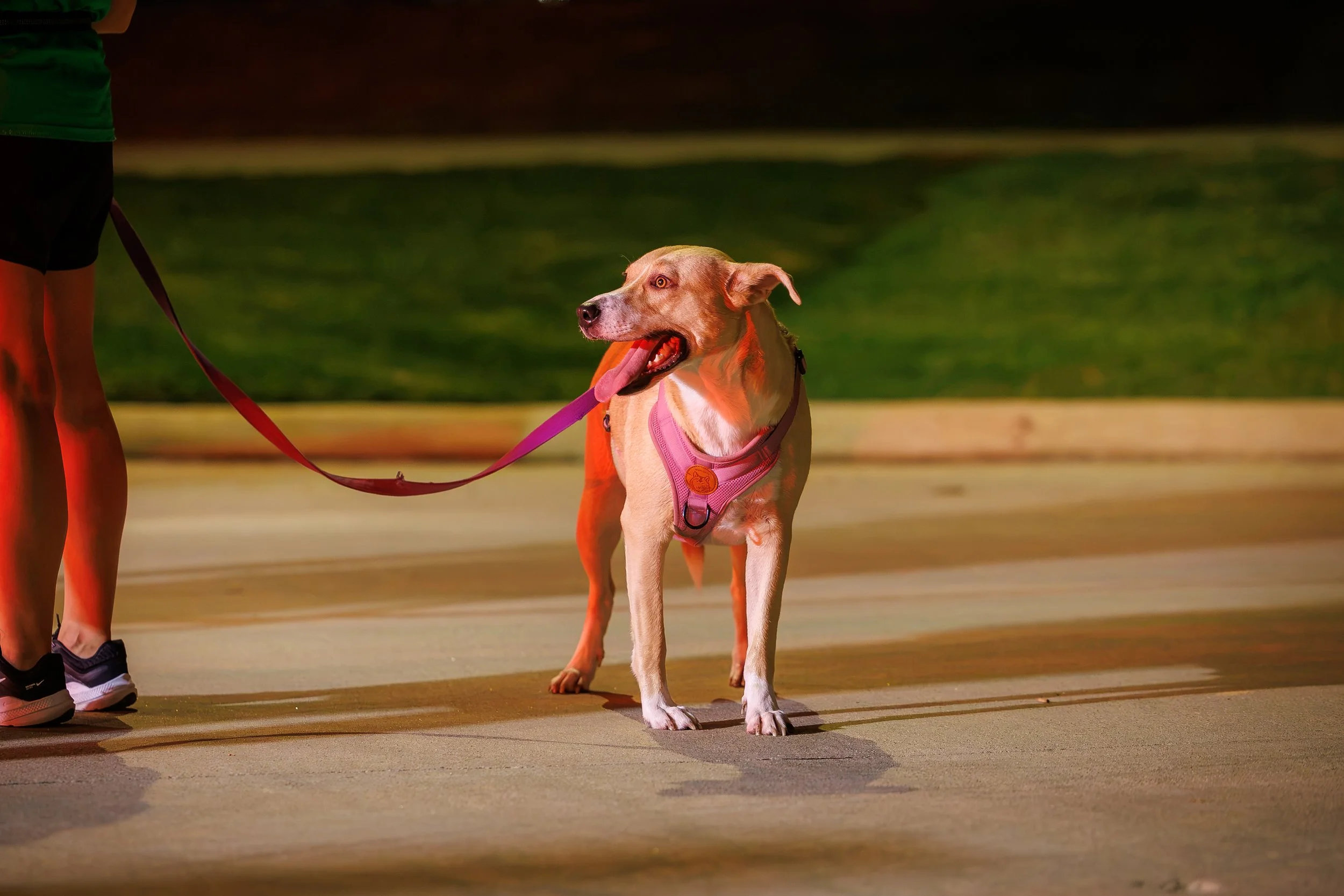 10.6.2026-Jubilee-National-Night-Out-Web-Steven-Pedini-Photography-145-AH2A2194.jpg