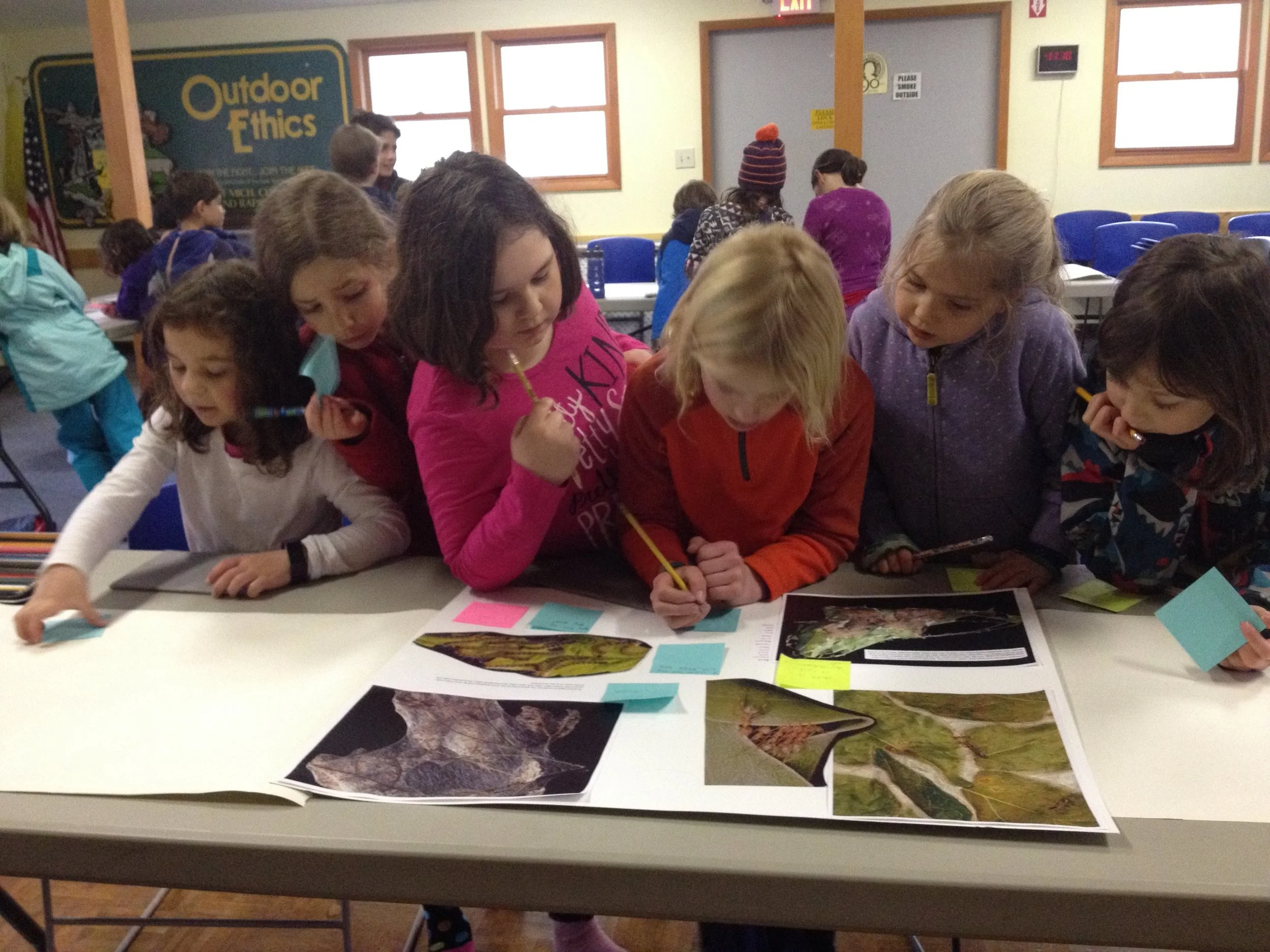 Our Program — Strong Roots