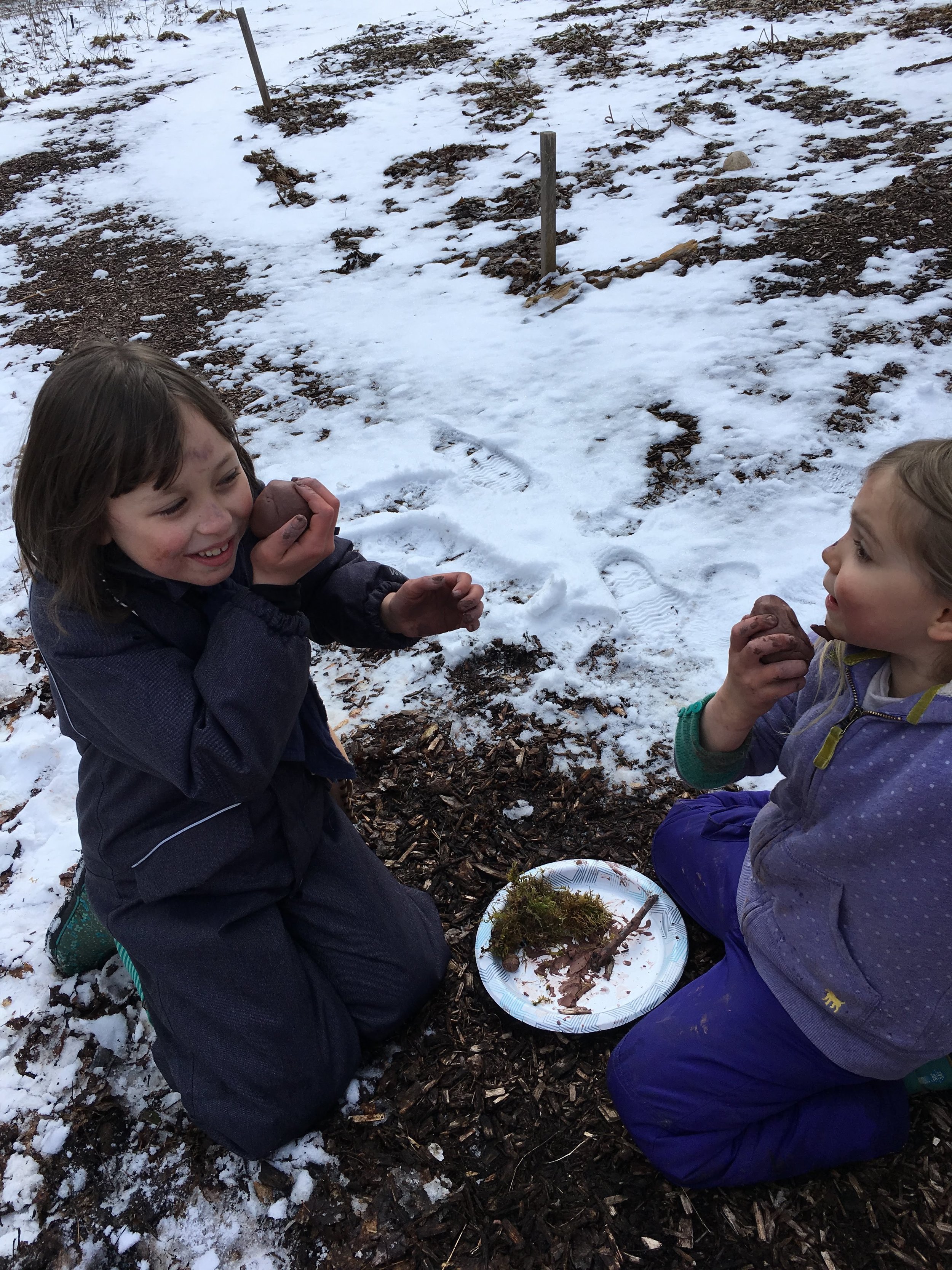 Our Program — Strong Roots