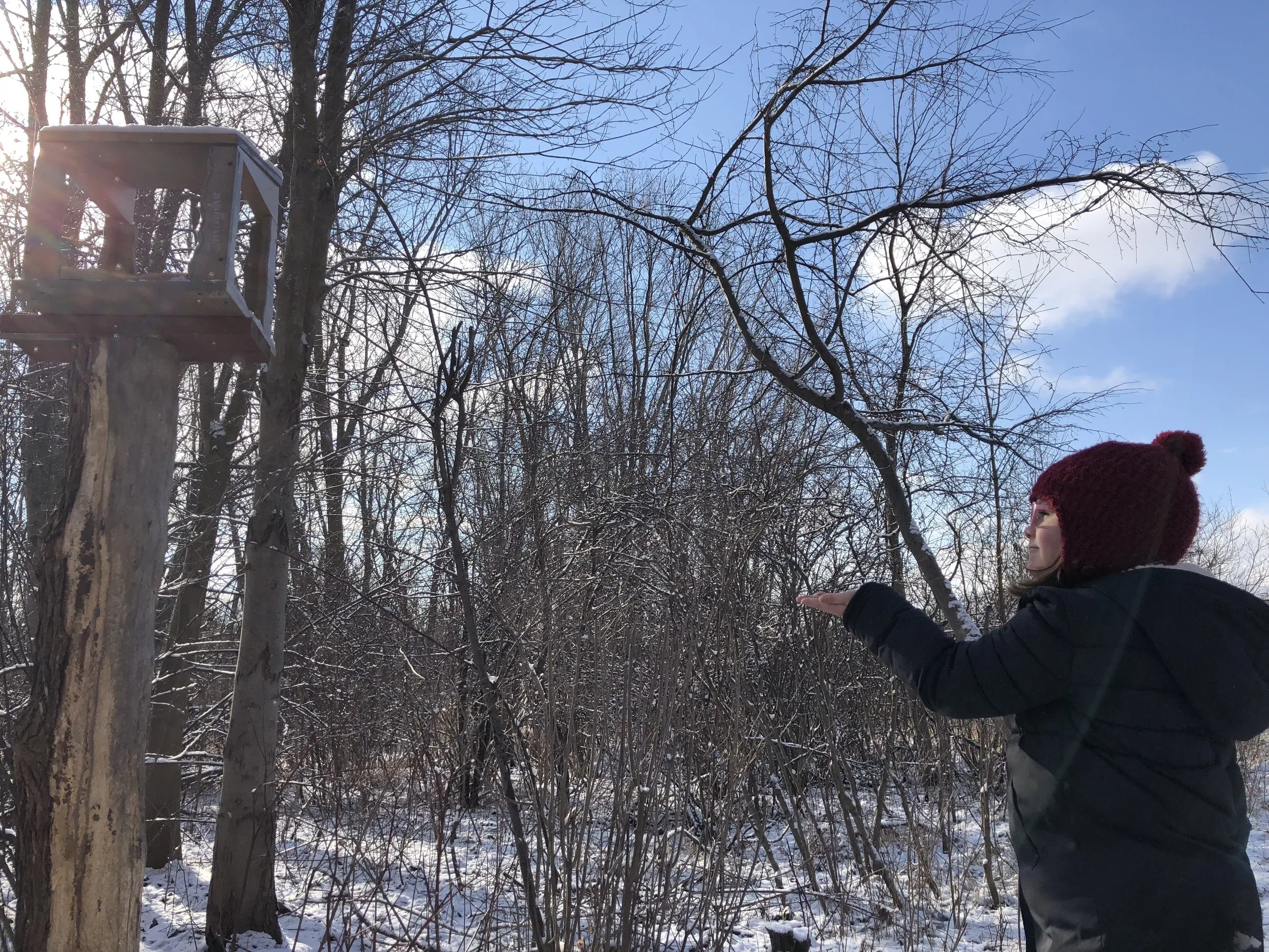 Our Program — Strong Roots
