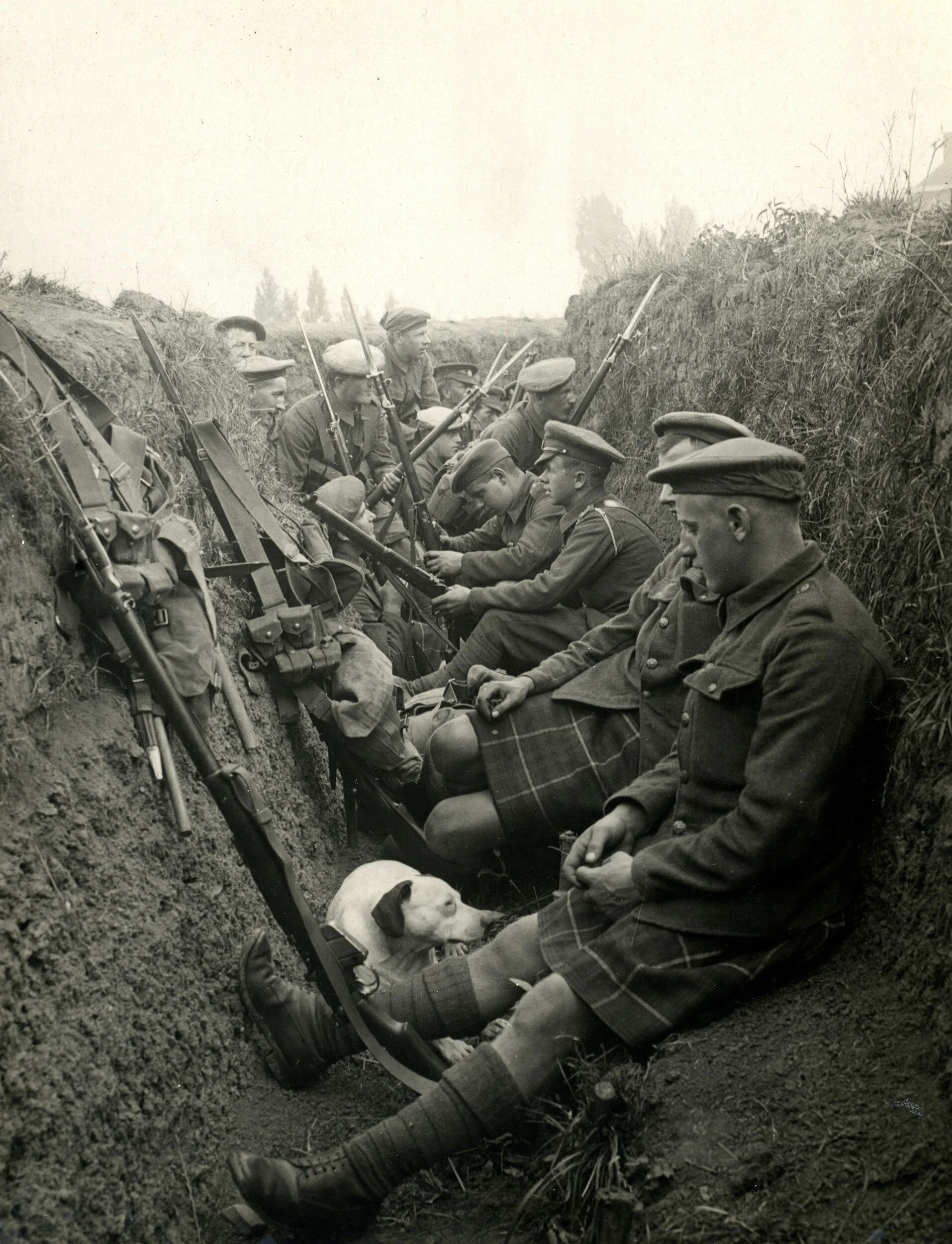 Leaving the Trench