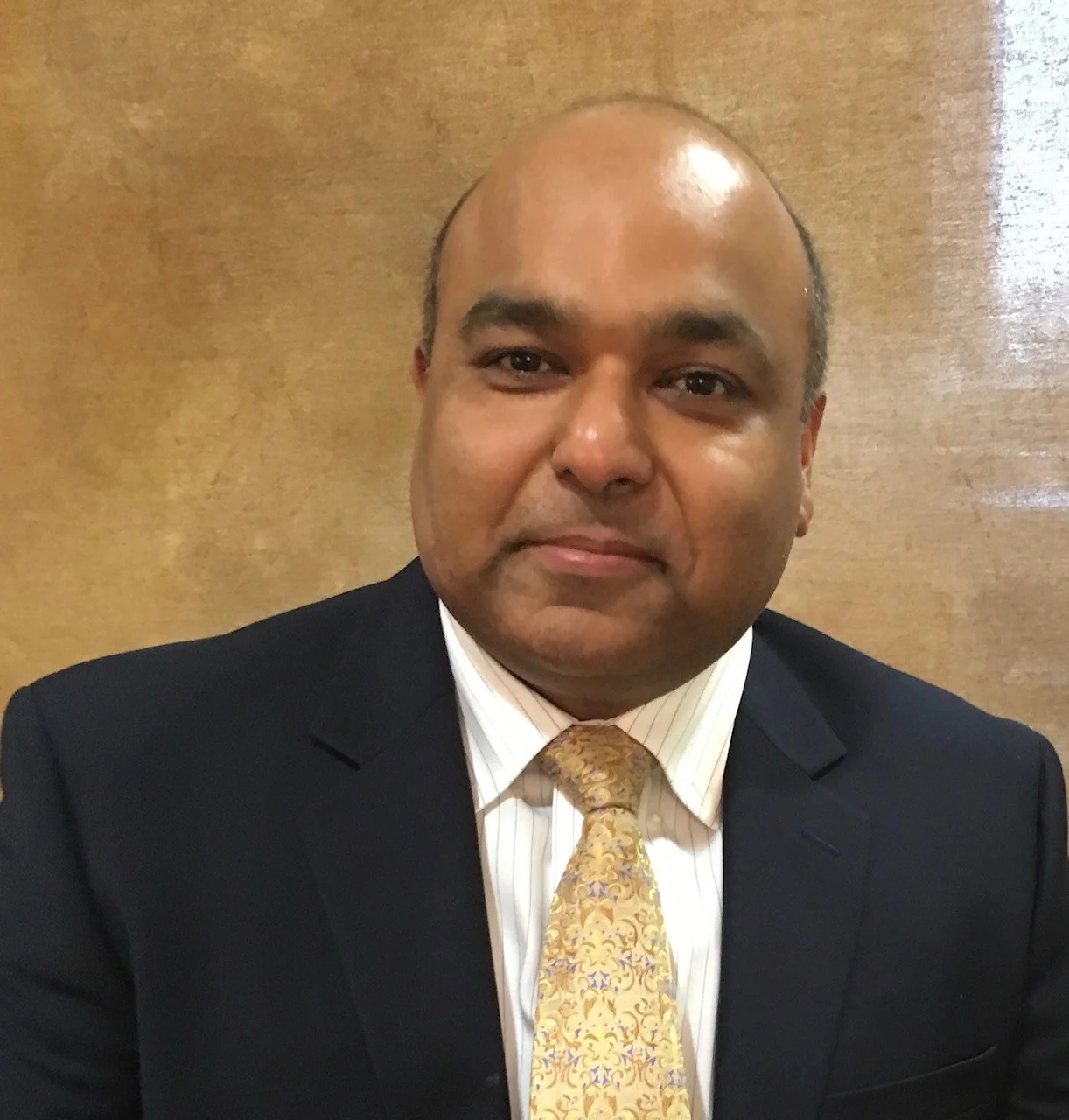 vineet-hansaria.jpg