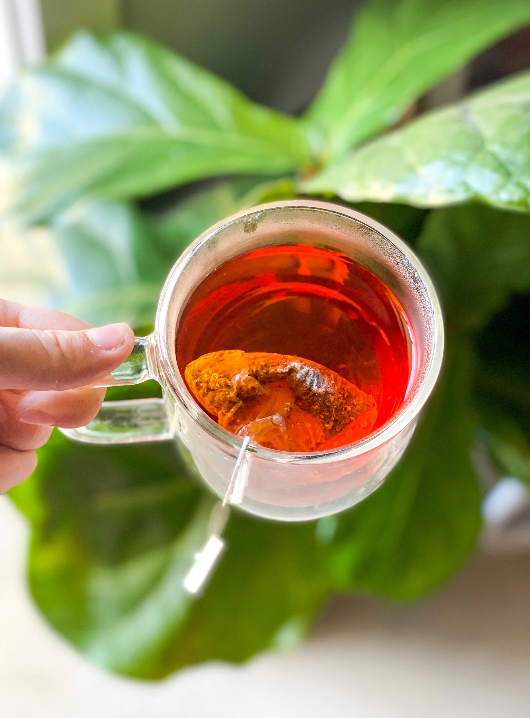 F8FB7979-8826-4DC5-AC6D-A5BAEF03935E