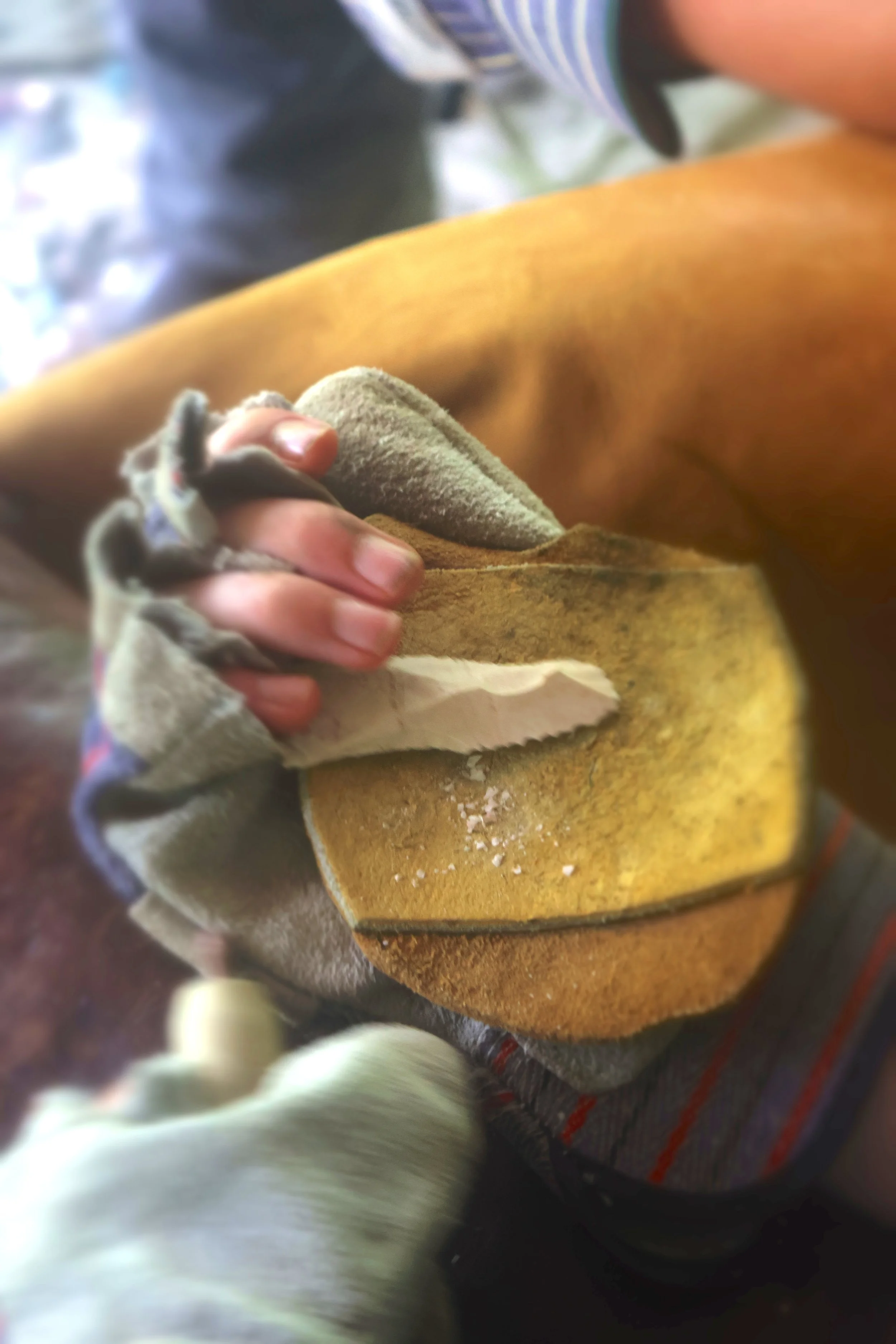  An In progress flint knapping project at Camp Arrowhead for Boys sleep away camp.  
