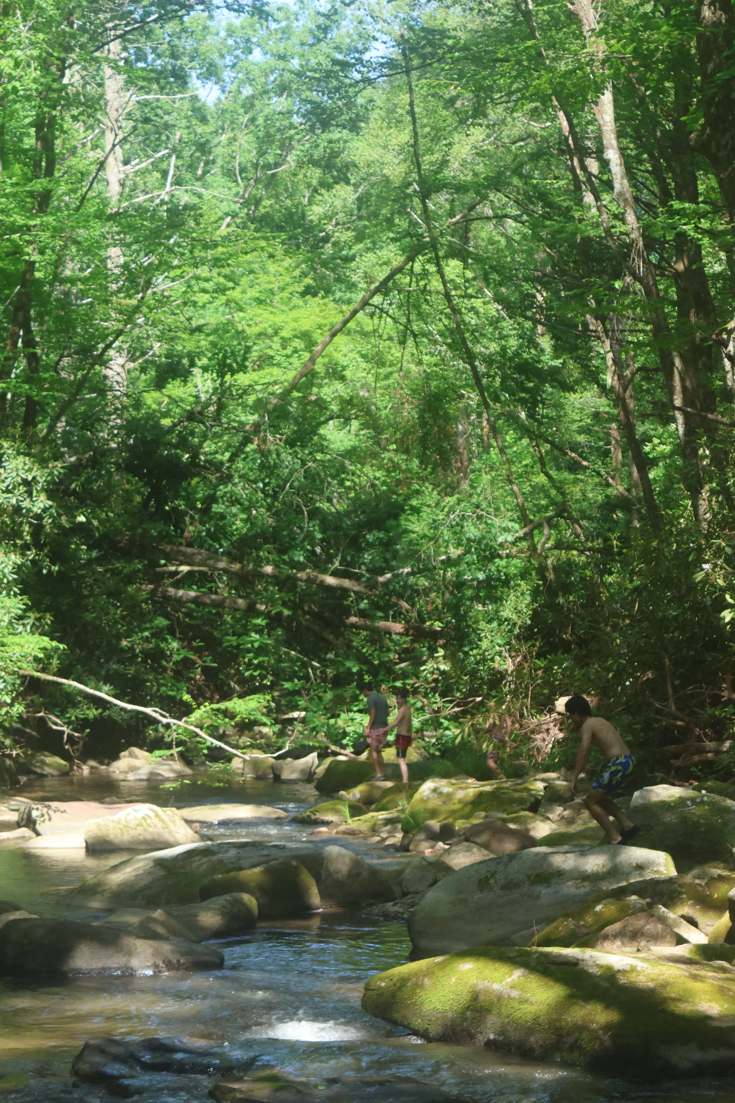 Sleepaway campers stomp in the creek at Camp Arrowhead in NC. 