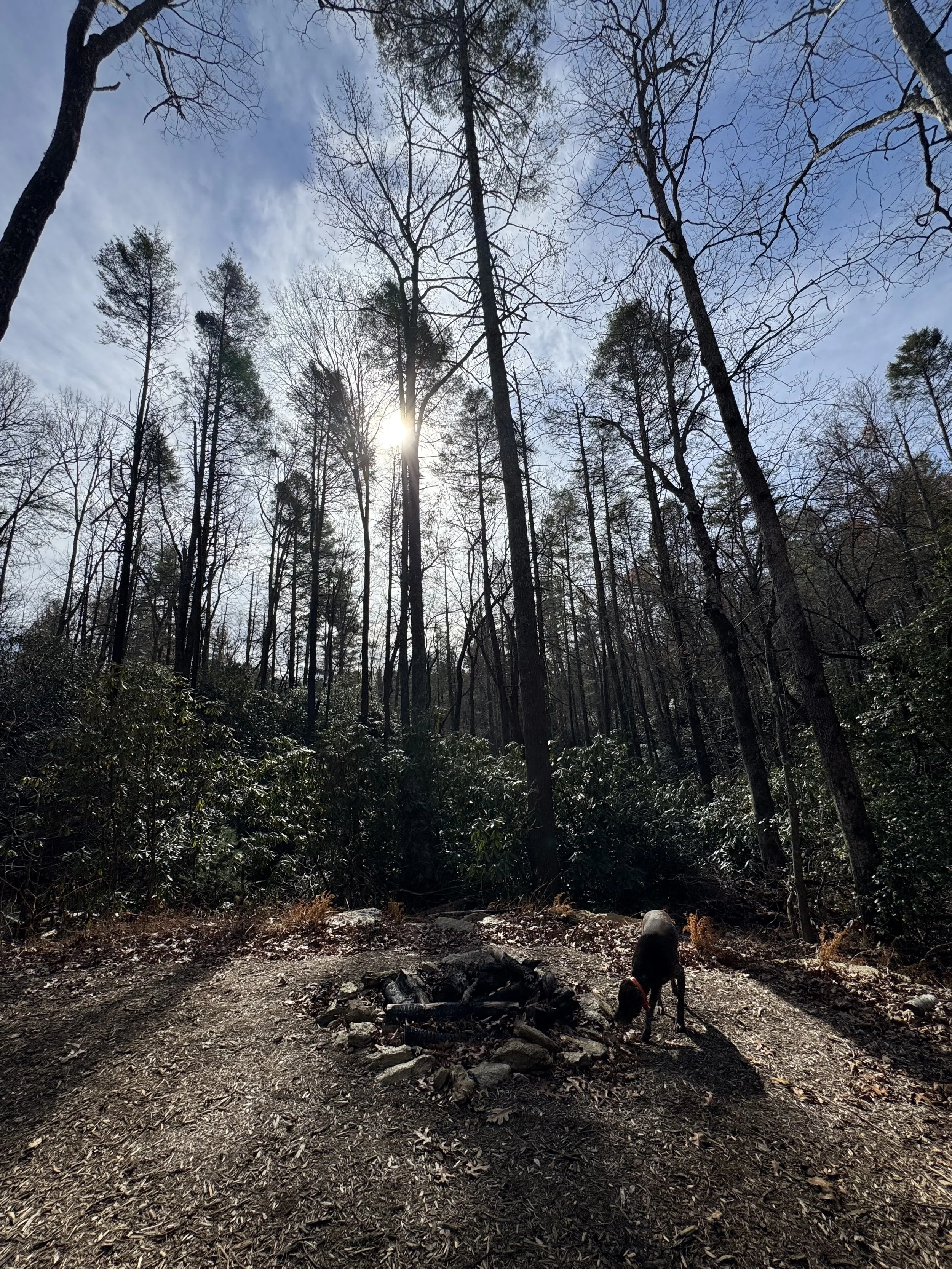 A New Year at Camp Arrowhead