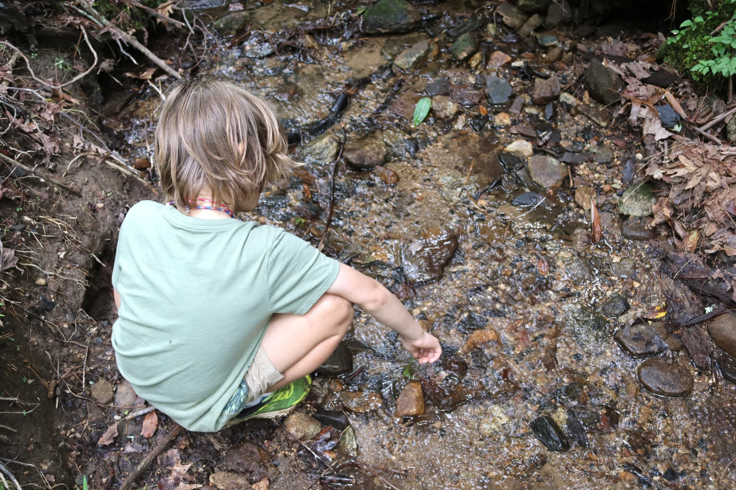 Camp Arrowhead Camper learning about creek ecology.