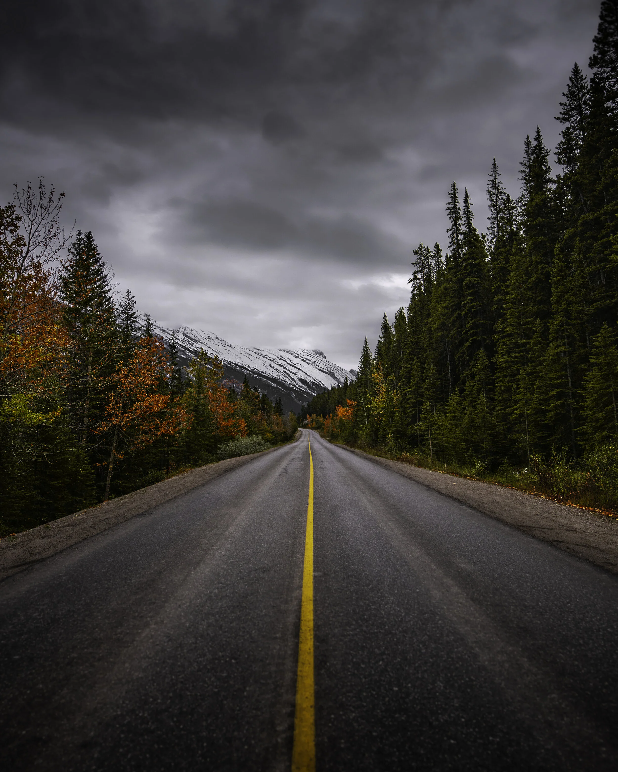 On the road.jpg