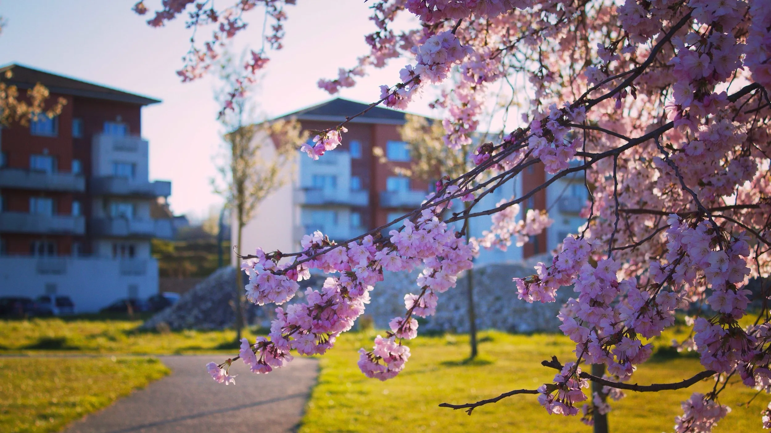 Welcome to General Referral!