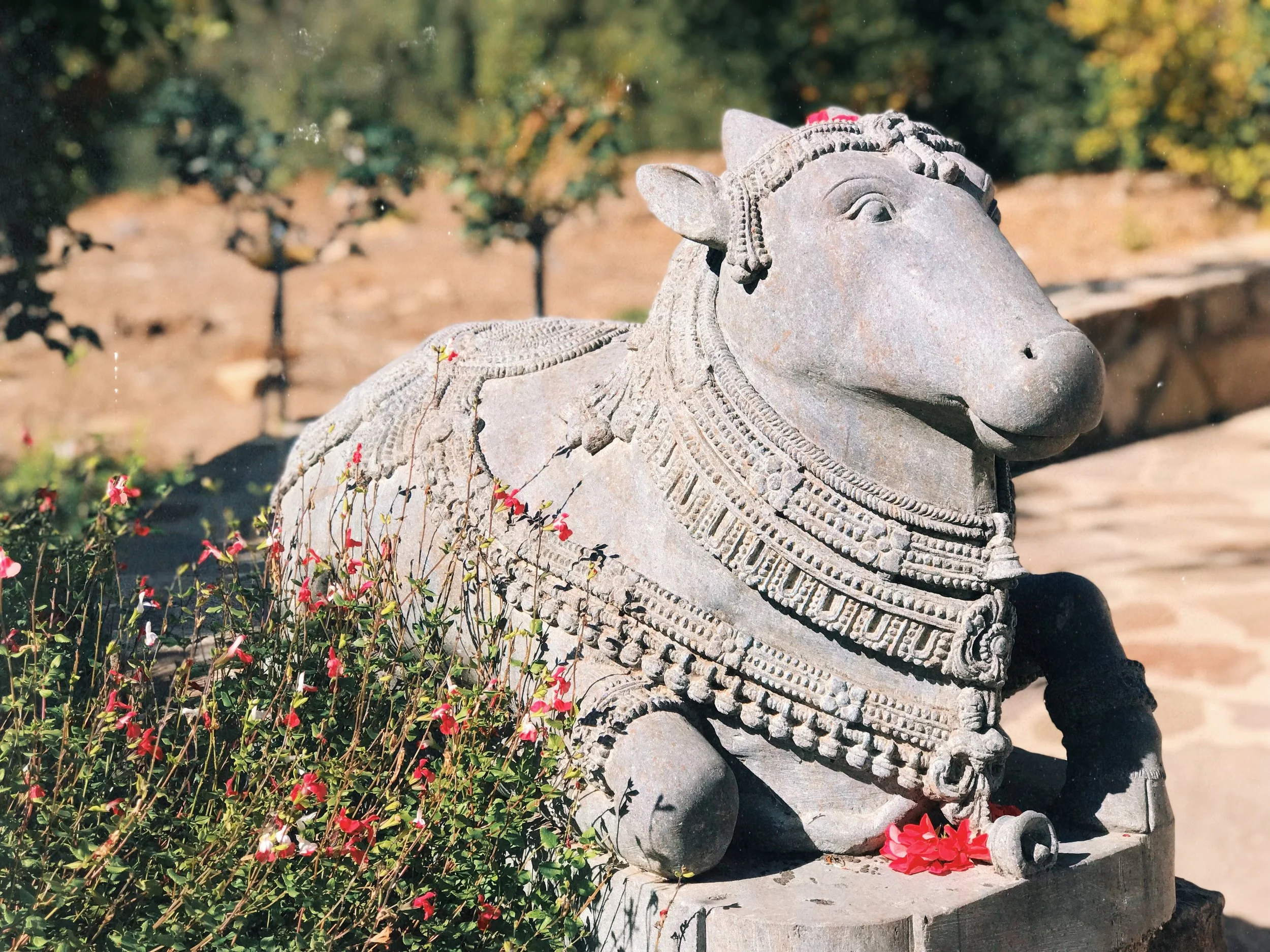 Mars Retrograde 2022: Day 6