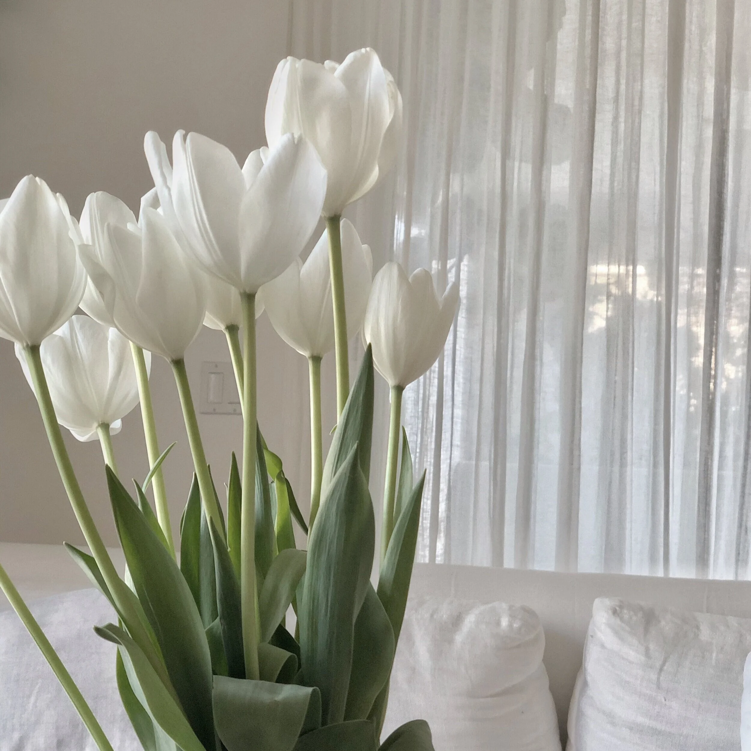 A Note on Beauty and Identity