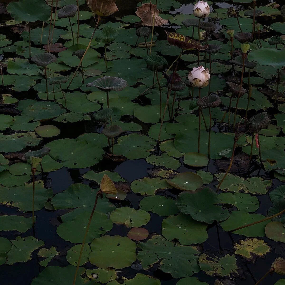 To Reground and to Rebalance