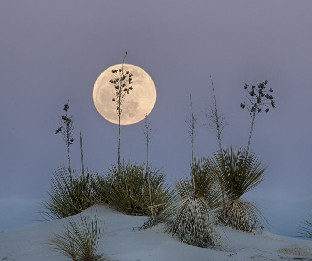 Moon at White Sands.jpg