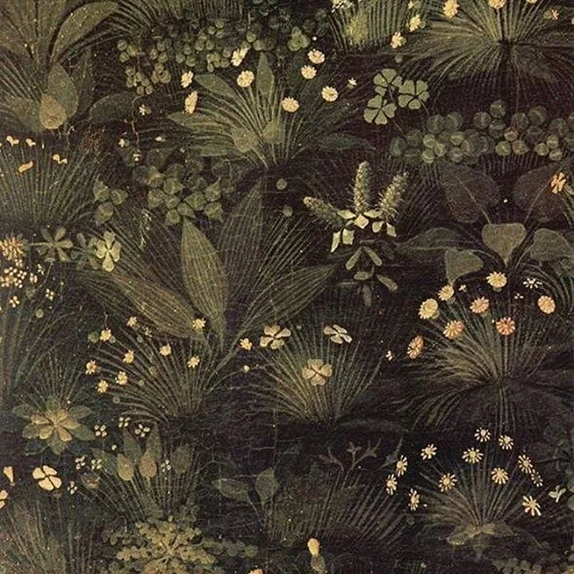 Stephen Ellcock (@stephenellcock) • Instagram photos and videos.jpeg