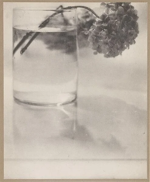 Still Life _ The Art of the Photogravure.jpeg