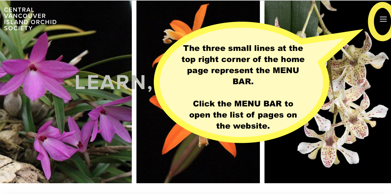 Screen Shot 2019-10-06 at 9.03.46 PM.png