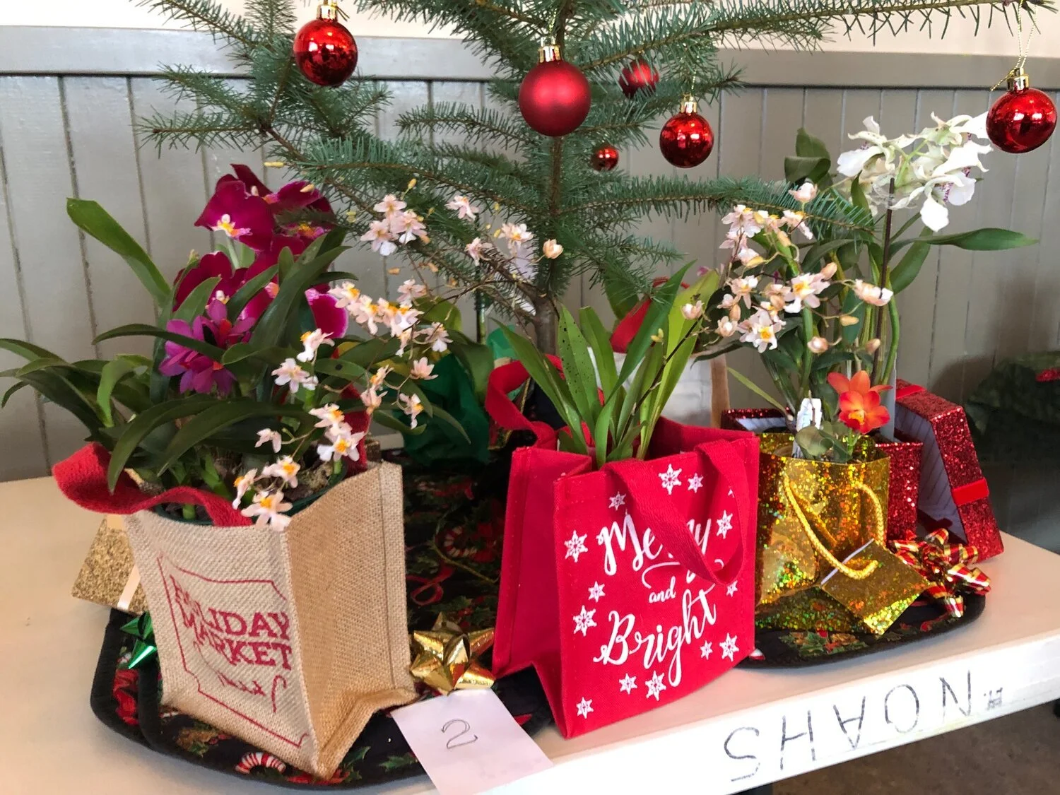 CVIOS Member Christmas Potluck 2021