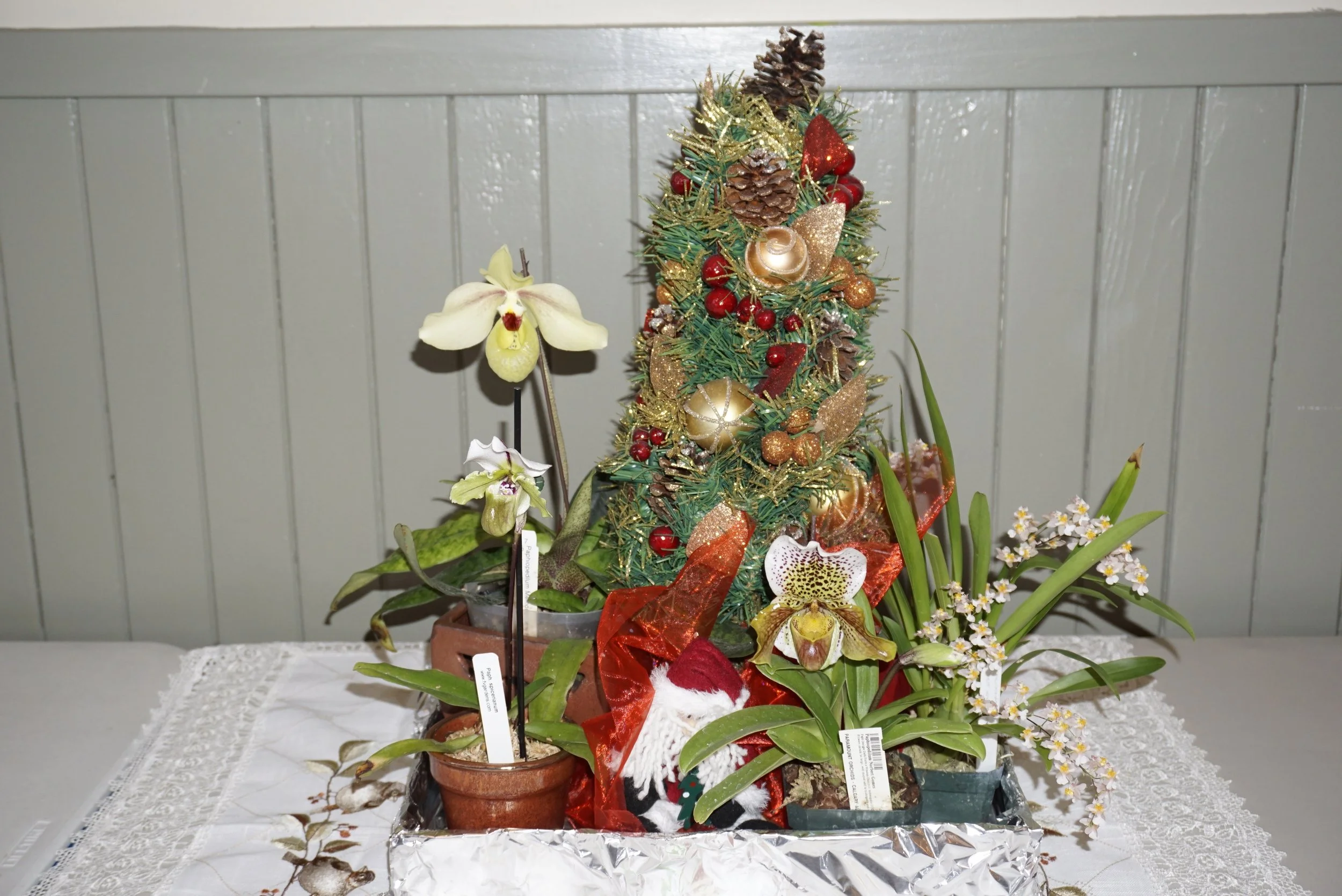December General Meeting and Christmas Potluck