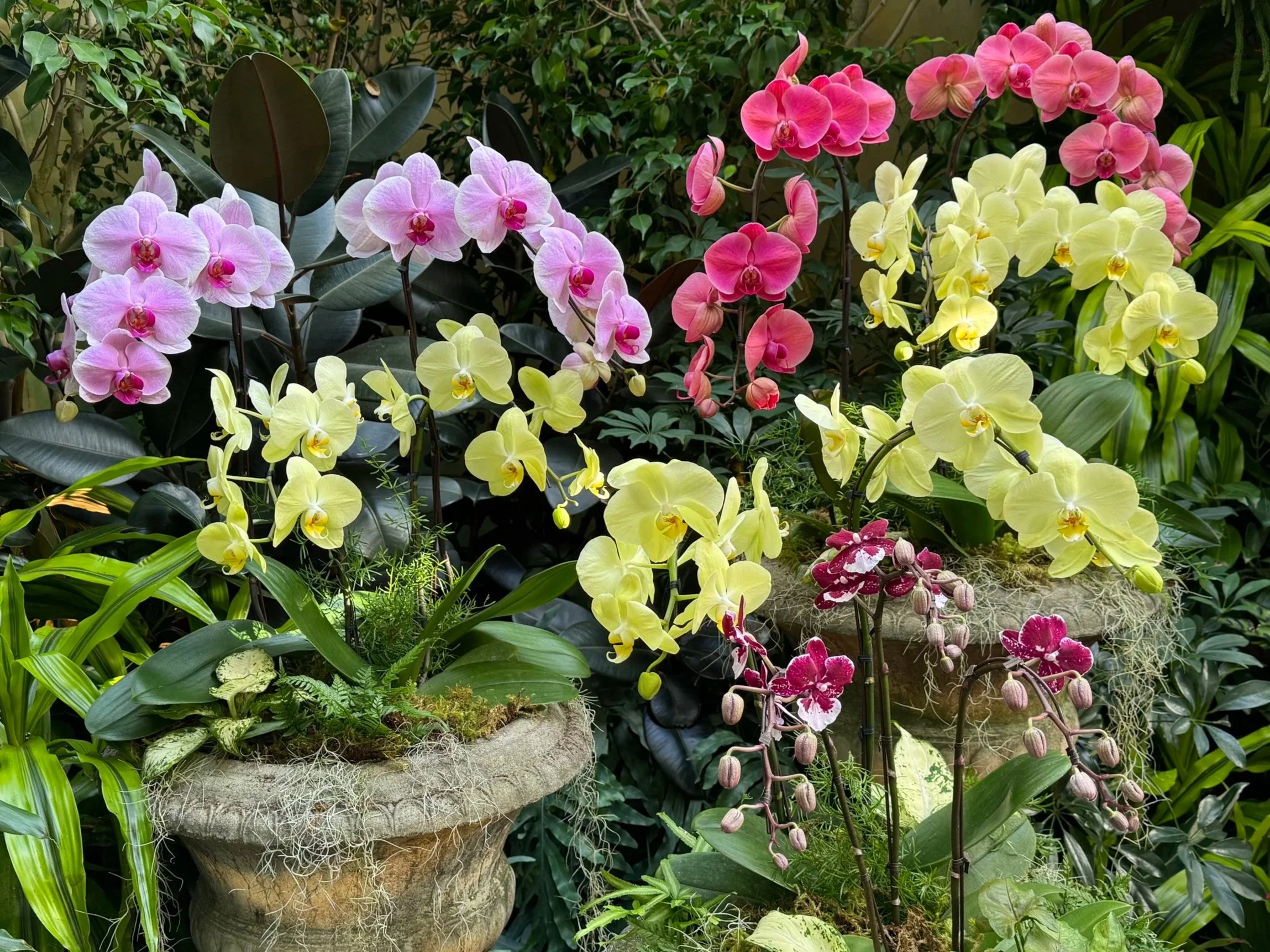 March 2026 Monthly Meeting - Welcome New Member From Annual Show