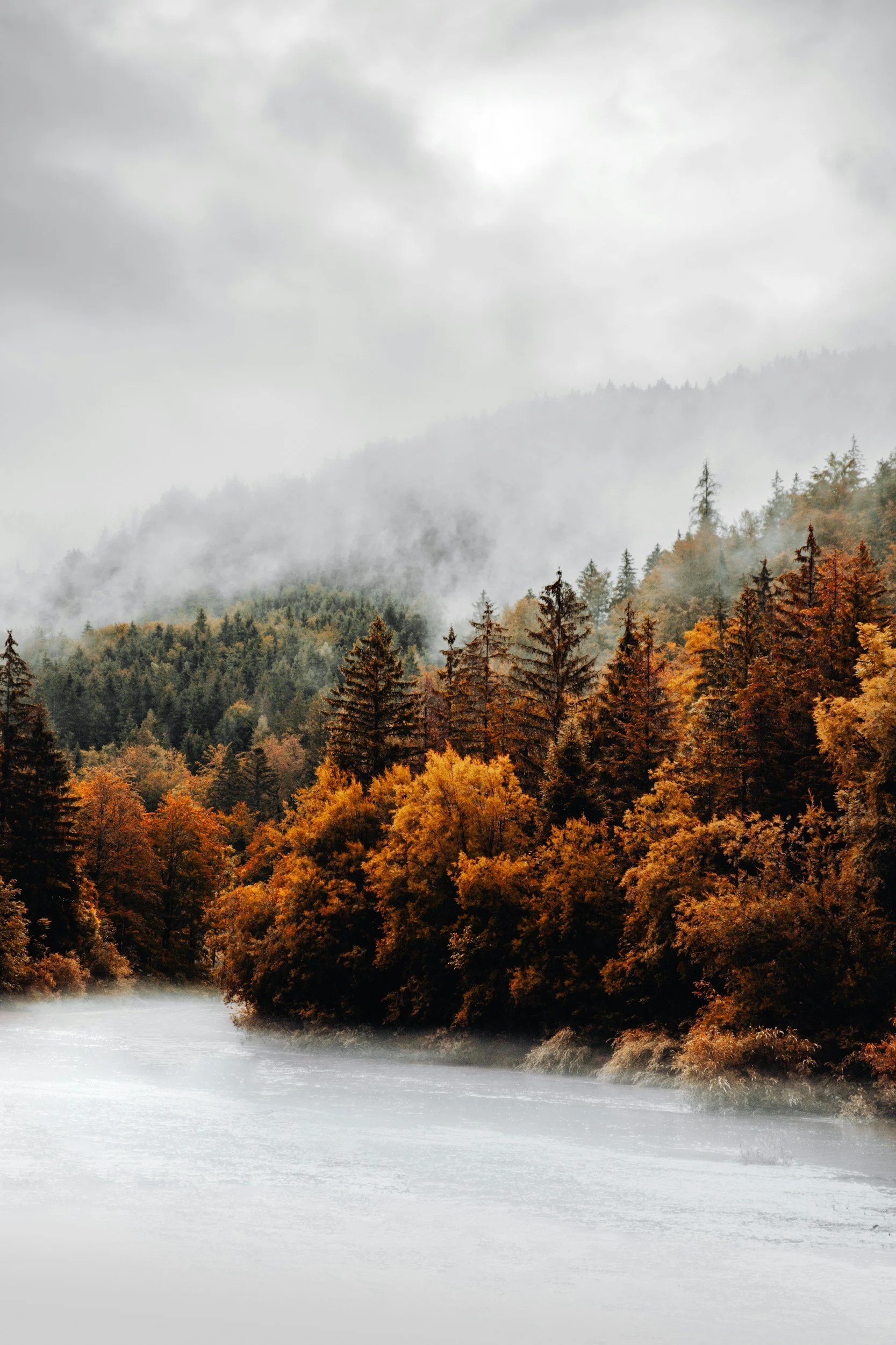 unsplash-image-JUKqr-nhjzw.jpg