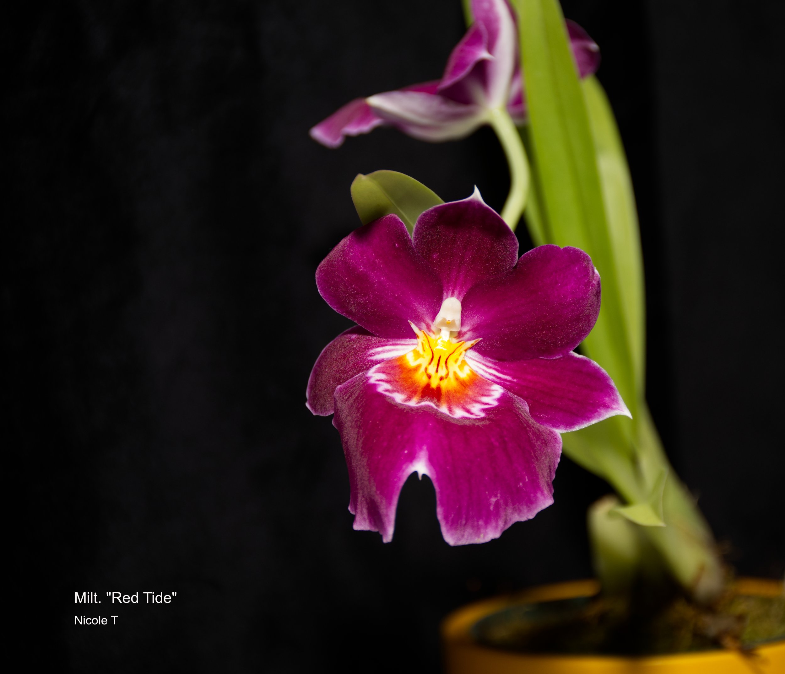 June 28 # 28A.jpg