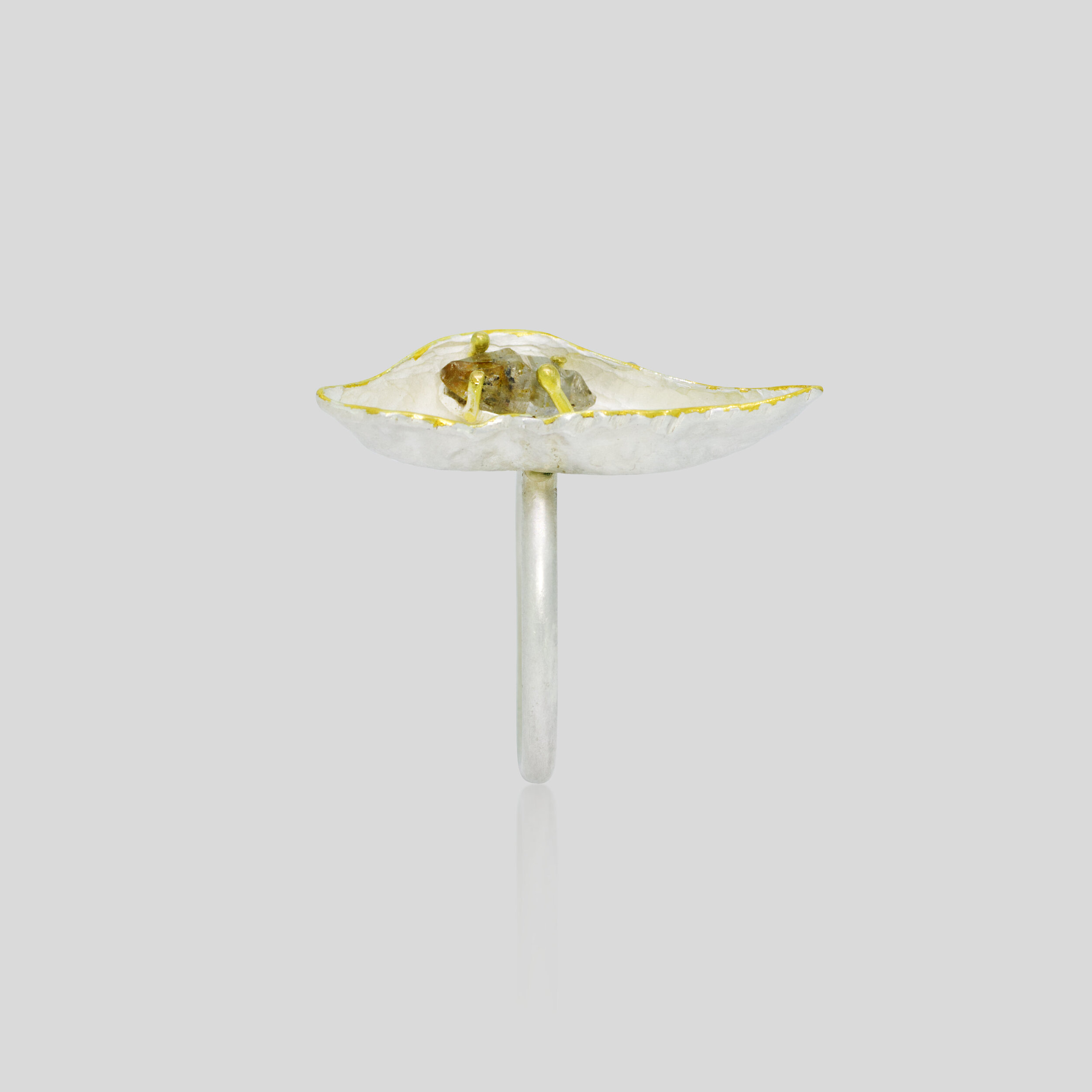 Wunderkammer Ring_Front.jpg